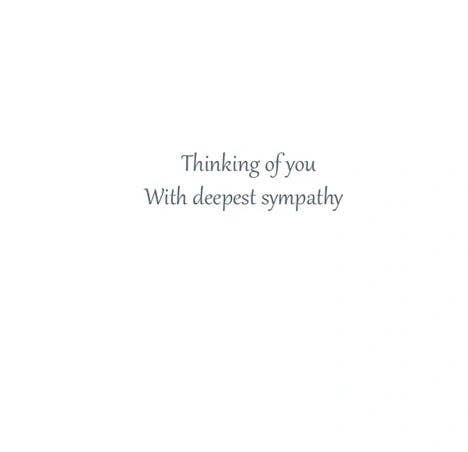 Horse Sympathy Greeting Card / So Warmly Remembered...
