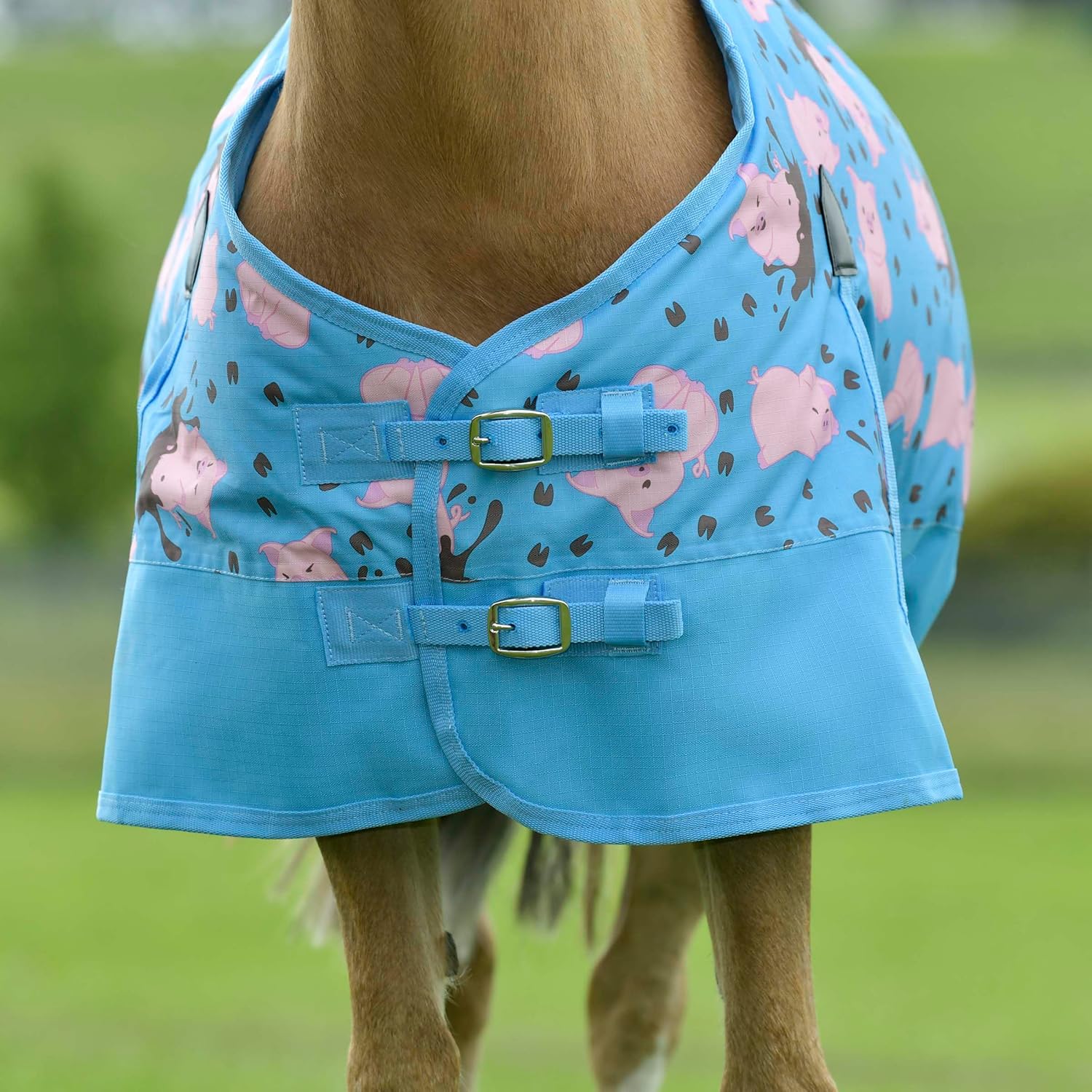 Sale Saxon 600D Pony Standard Neck Medium Turnout Blanket