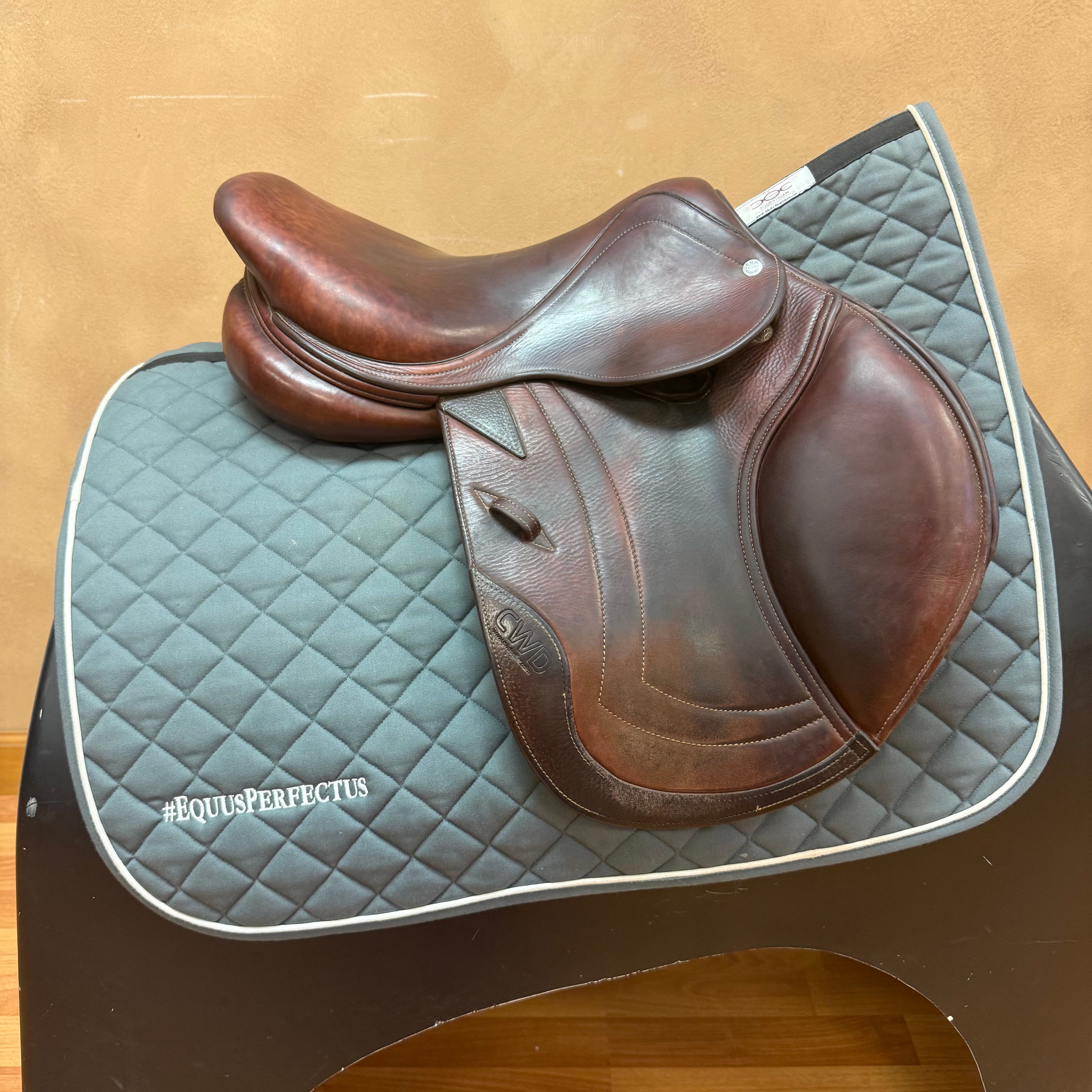 Used CWD SE02 Jump Saddle 15.5” Medium Tree