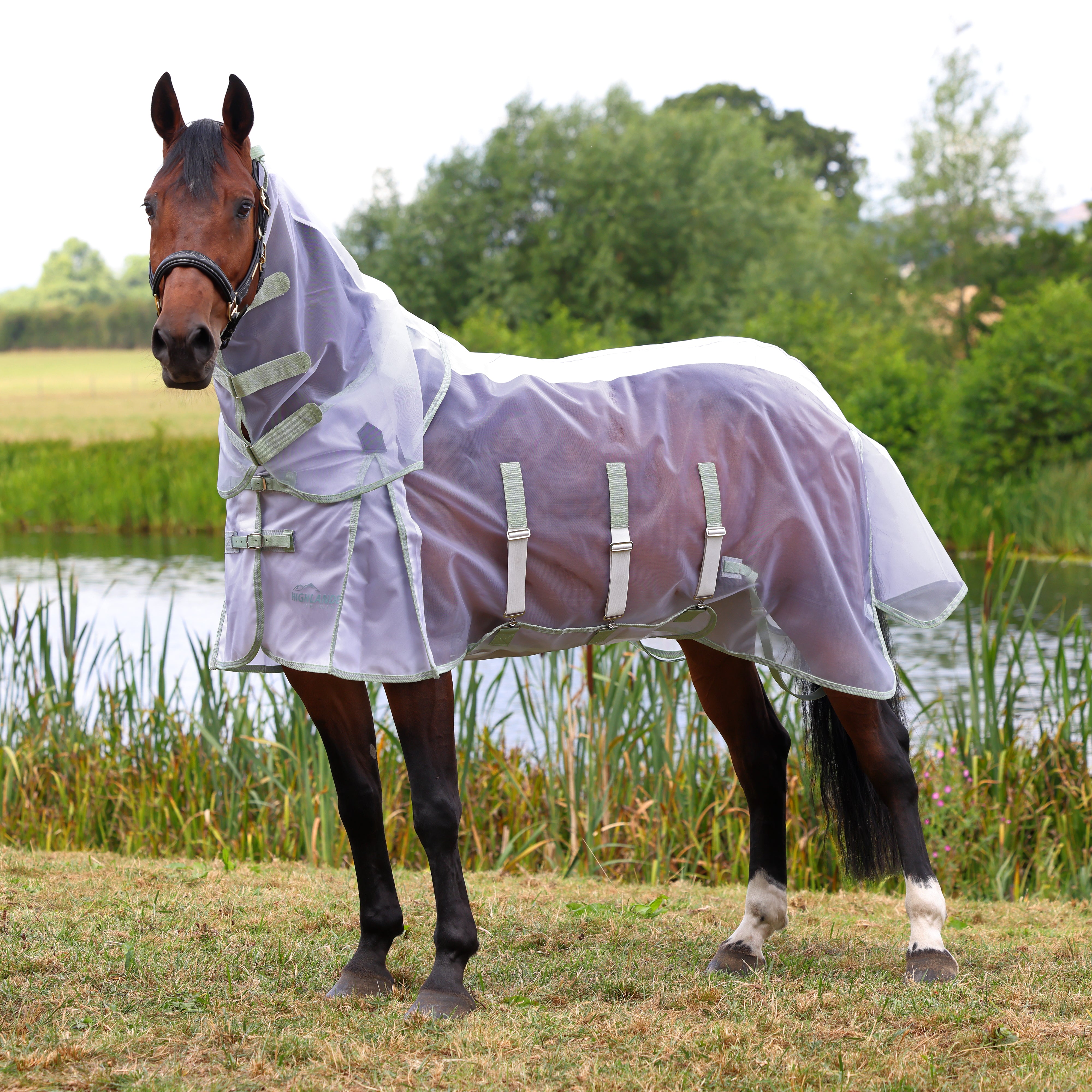 Shires Highlander Fine Mesh Fly Sheet/Neck Set