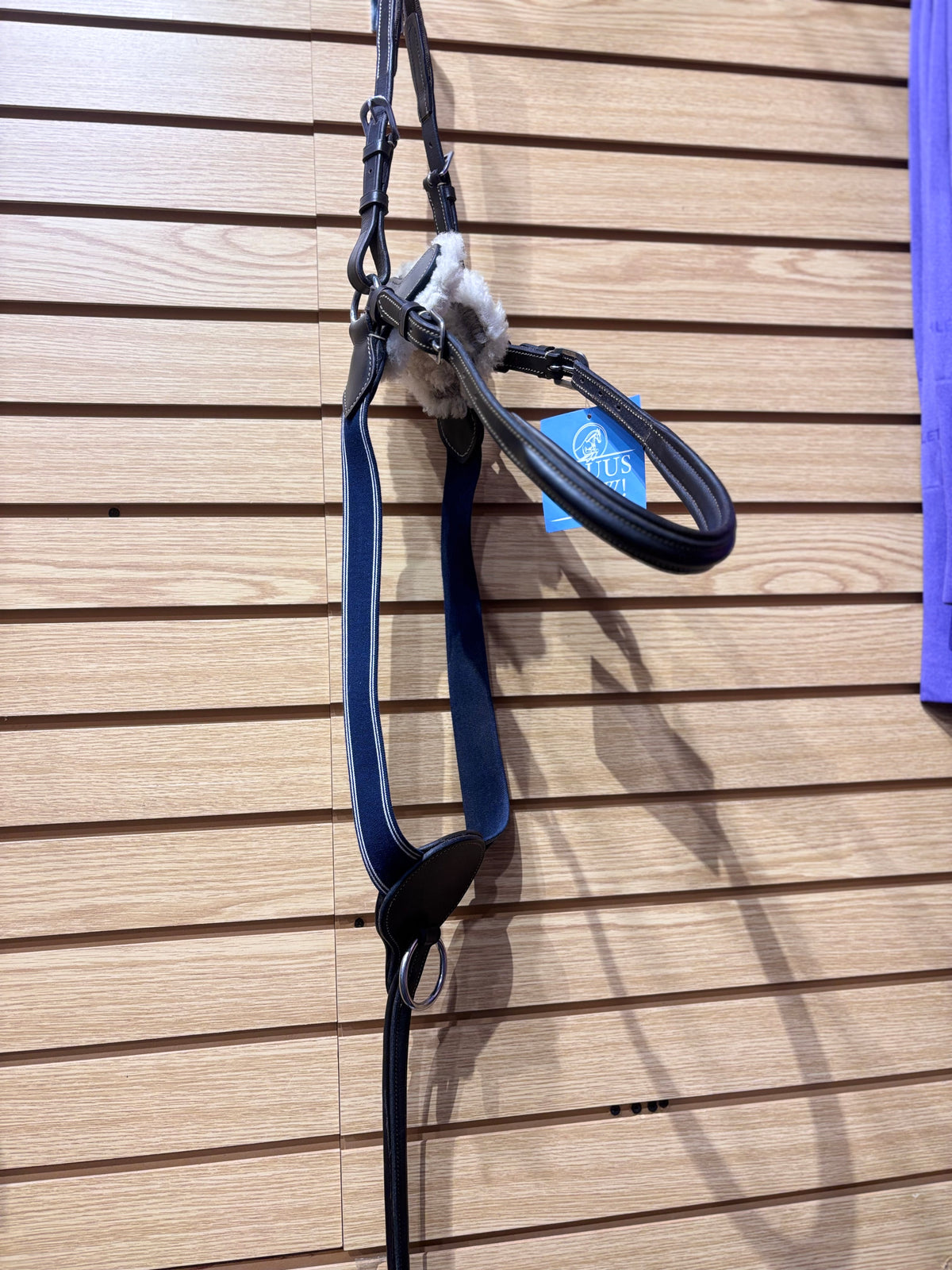 Used Full Brown/Blue 5 Point Breastplate