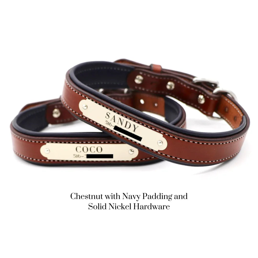 Custom Padded Dog Collar