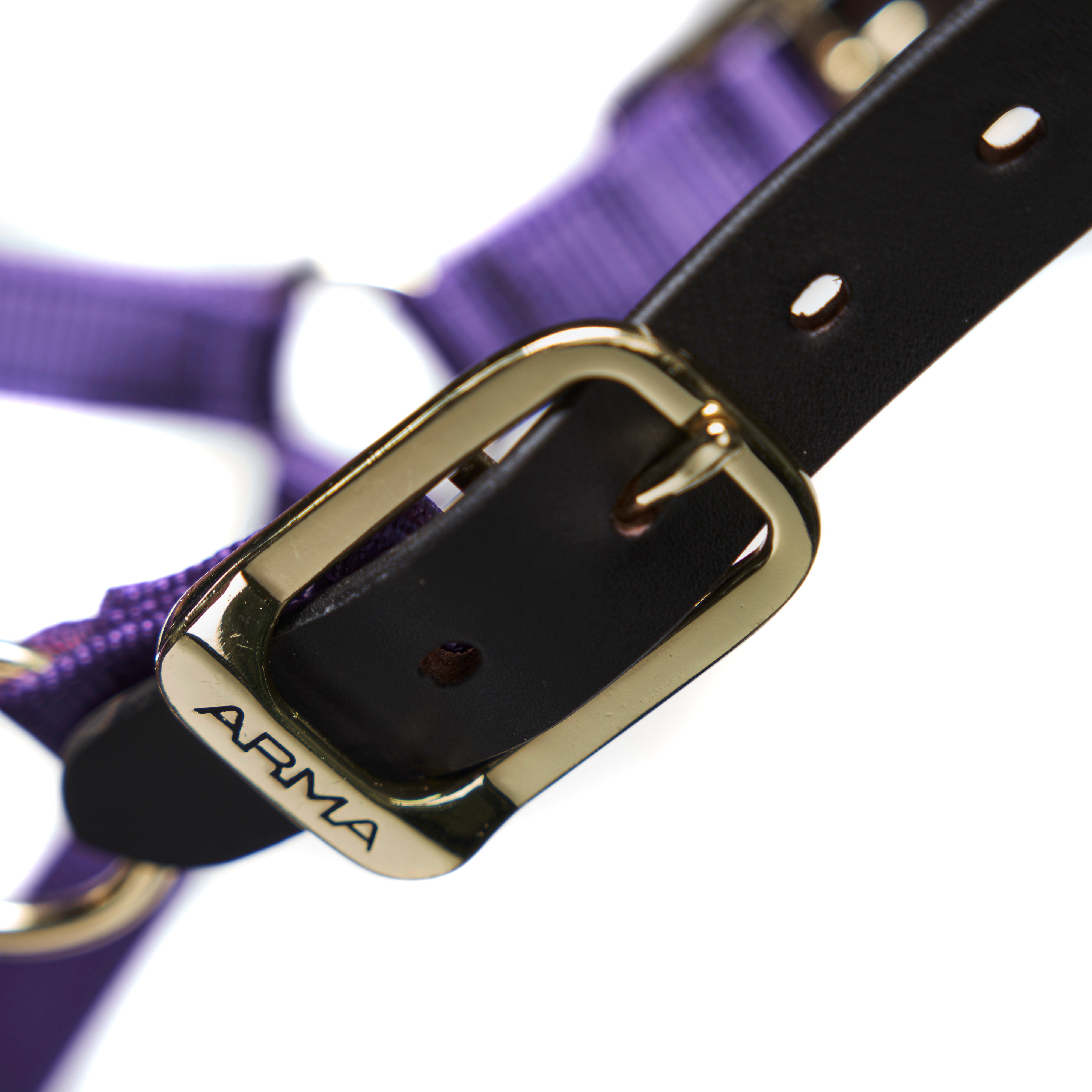 Shires Nylon Halter With Leather Head Strap