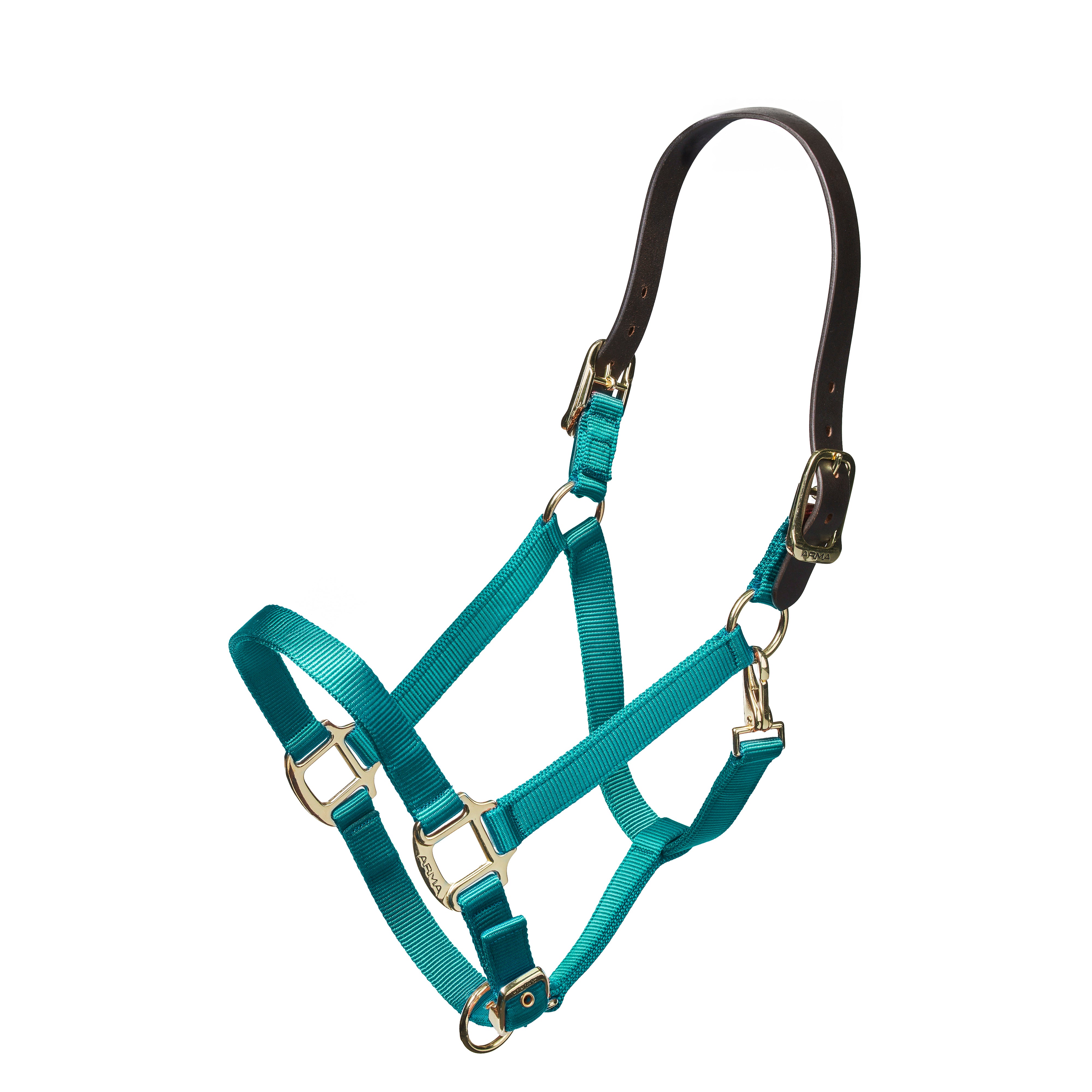 #color_teal