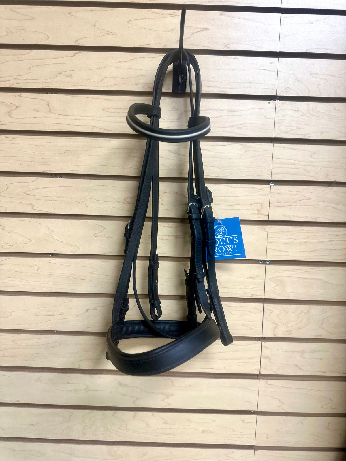 Used Full Black Bridle