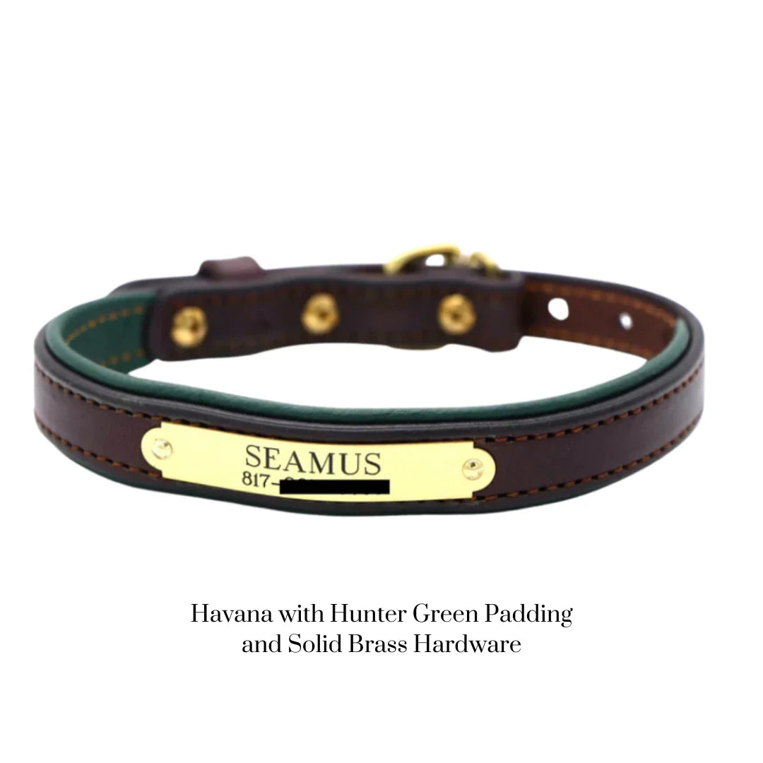Custom Padded Dog Collar