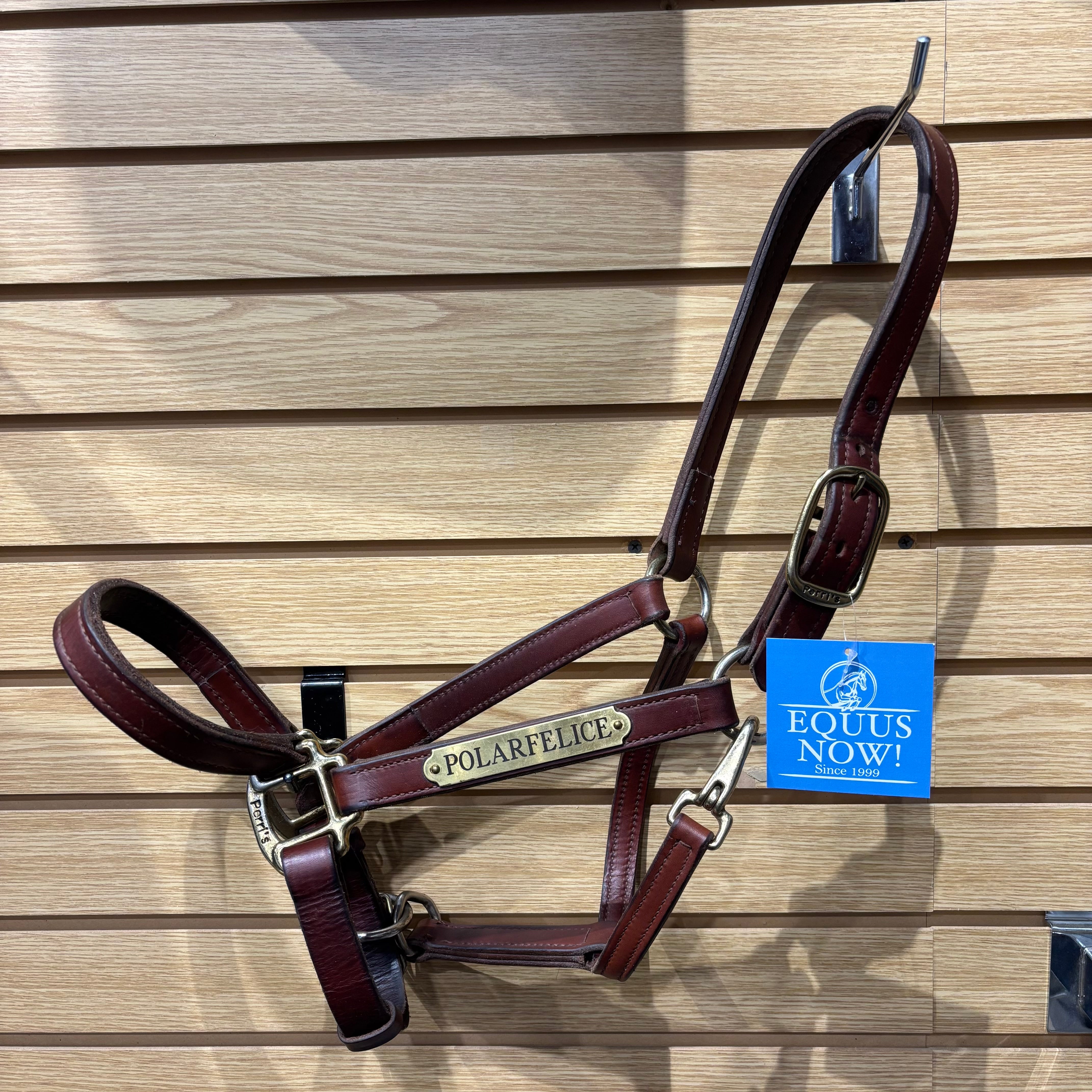 Used Perri's Horse Brown Leather Halter