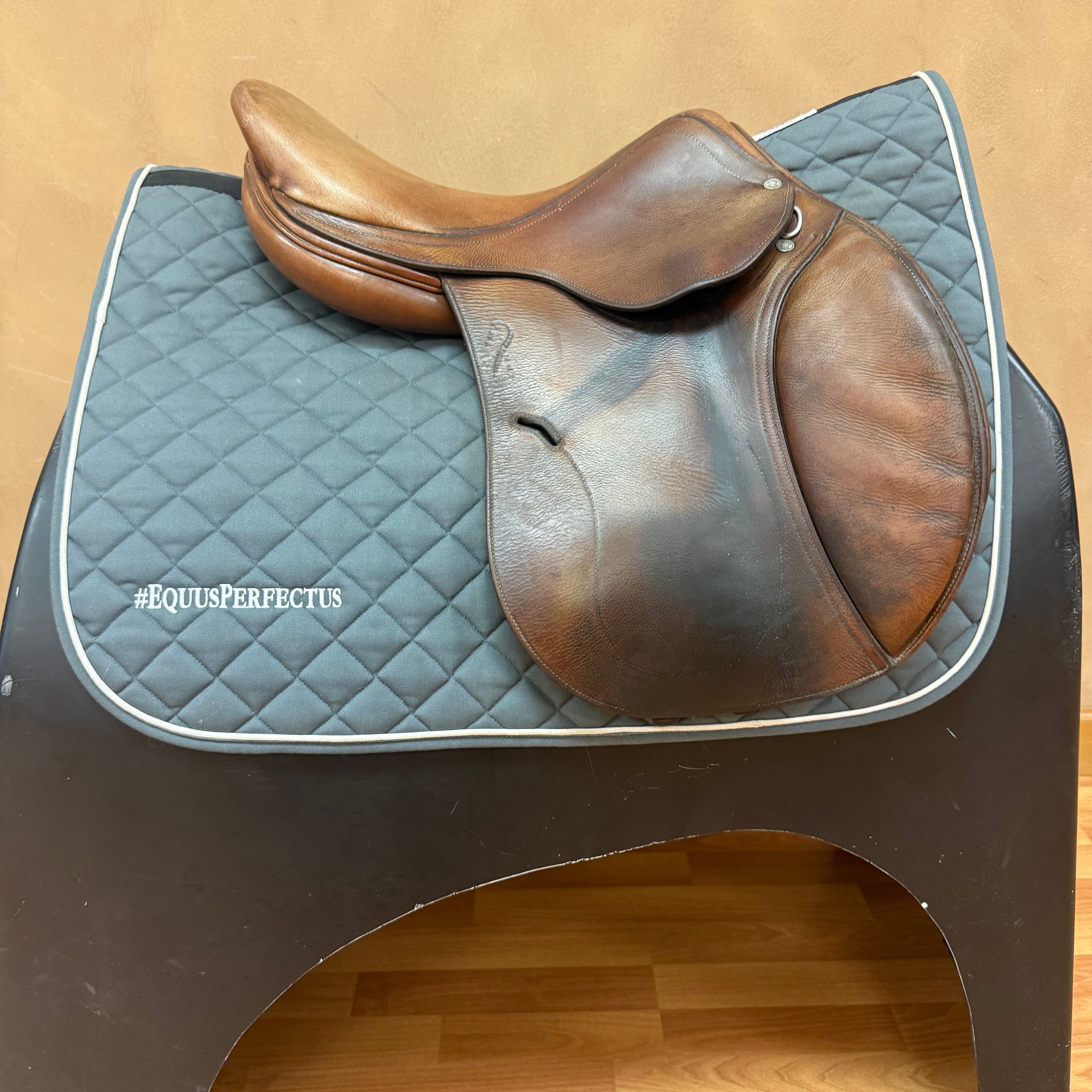 Used Antares Jump Saddle 16.5" Medium Tree