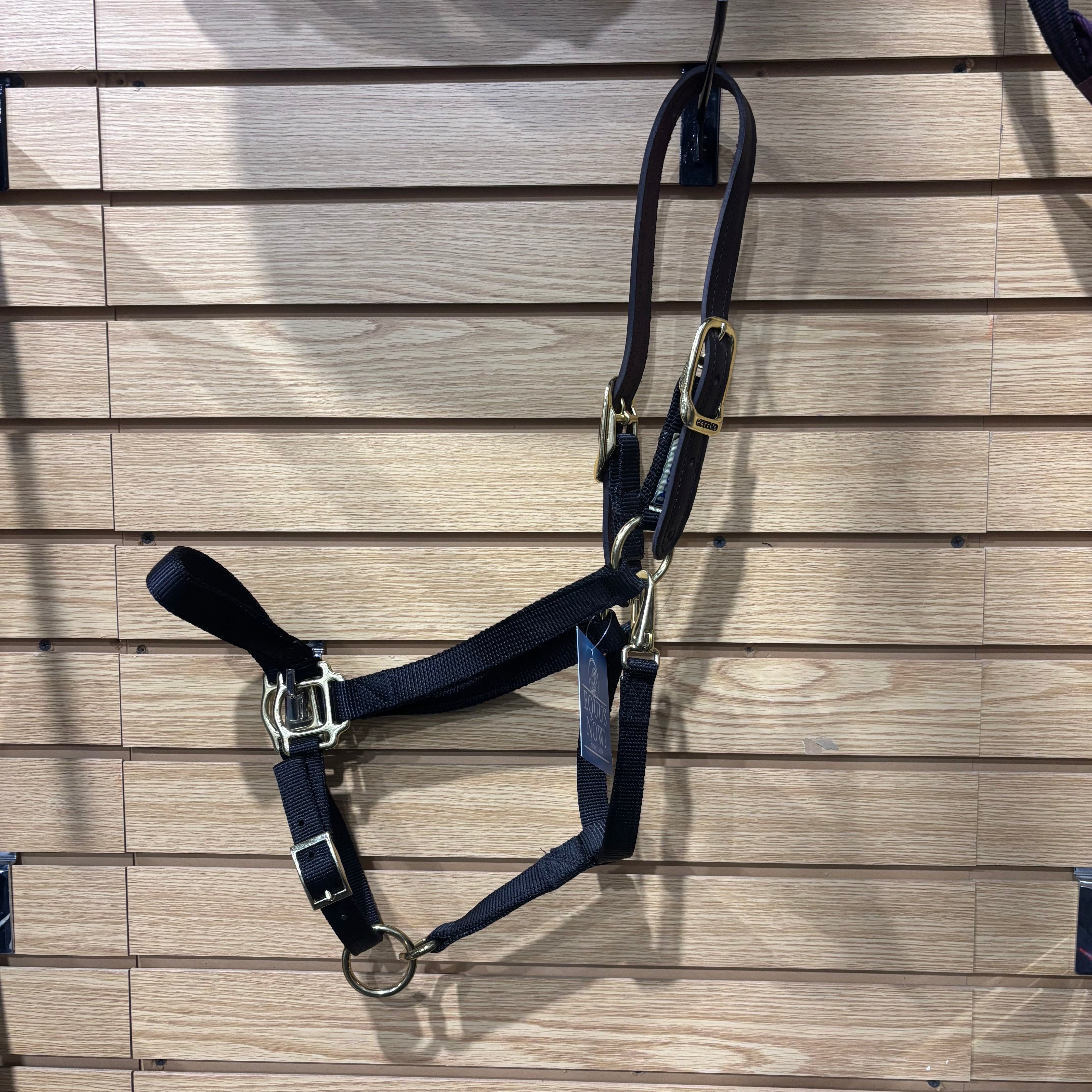 Used Oversize Perri's Halter