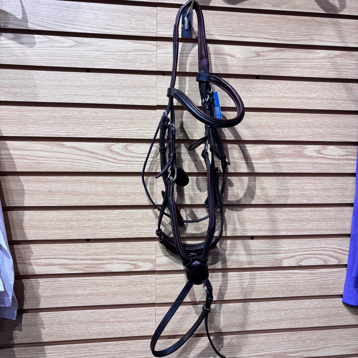 Used Cob Brown Vespucci Figure 8