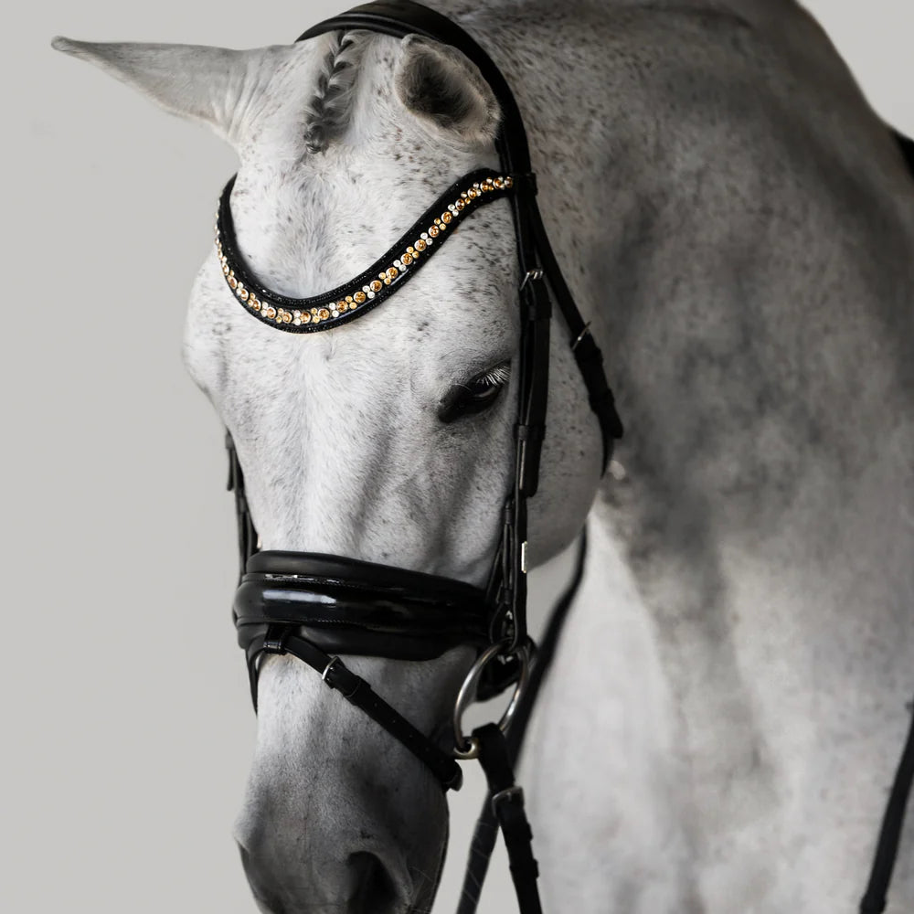 Lumiere Ariana Bridle Hanoverian