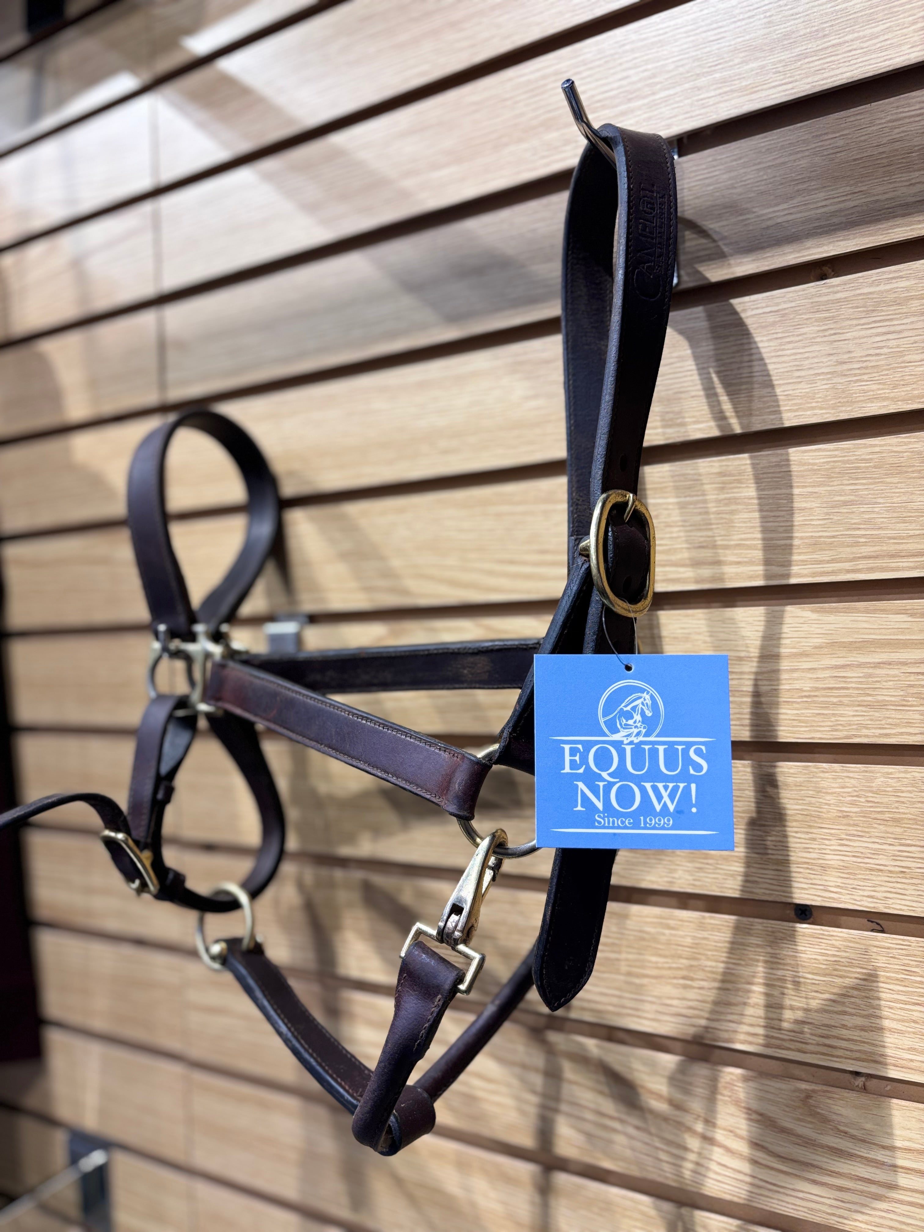 Used Full Brown Leather Halter