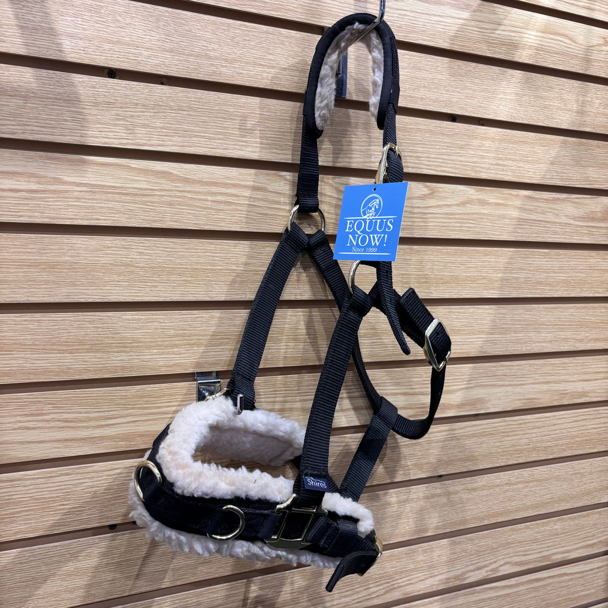 Used Full Black Shires Fleece Lunging Cavesson