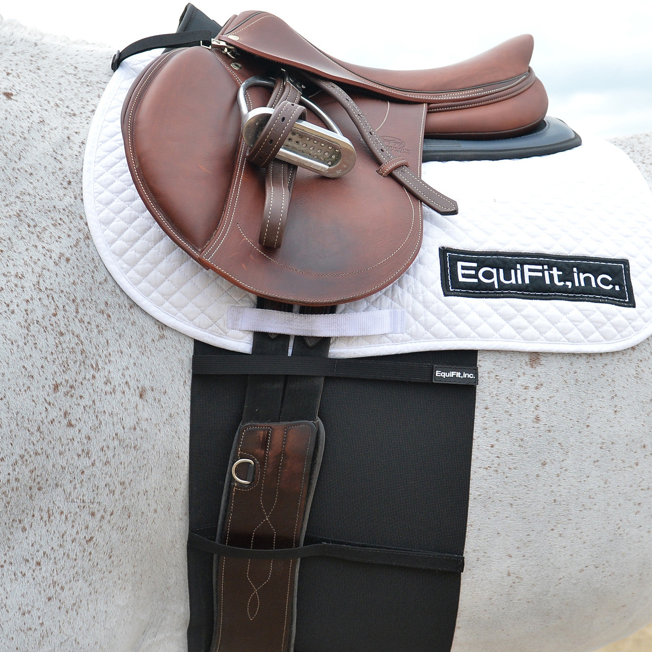EquiFit BellyBand - supporting
