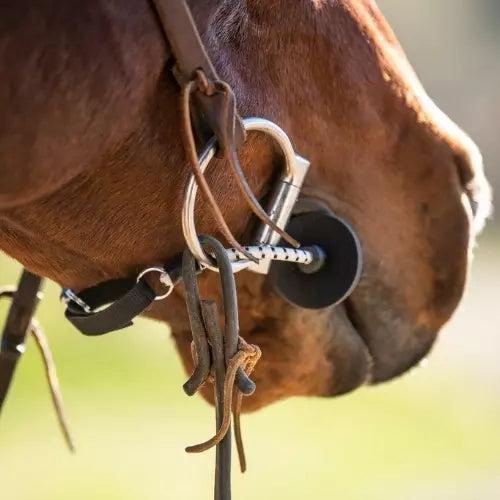 ThinLine Bridle Busy Buddy