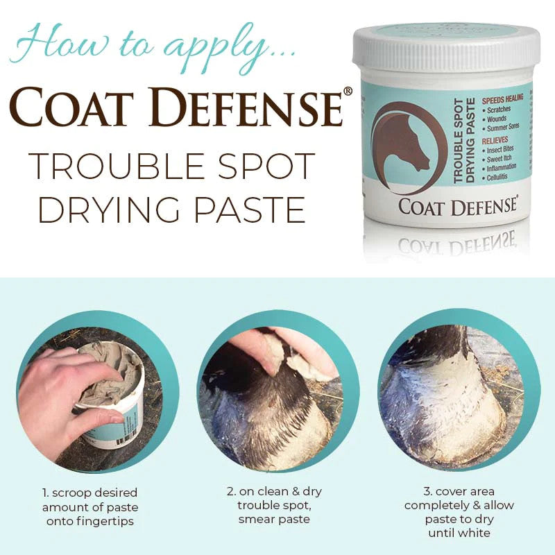 Coat Defense Trouble Spot Drying Paste - supporting