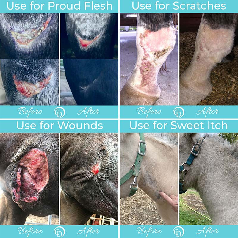 Coat Defense Trouble Spot Drying Paste - supporting