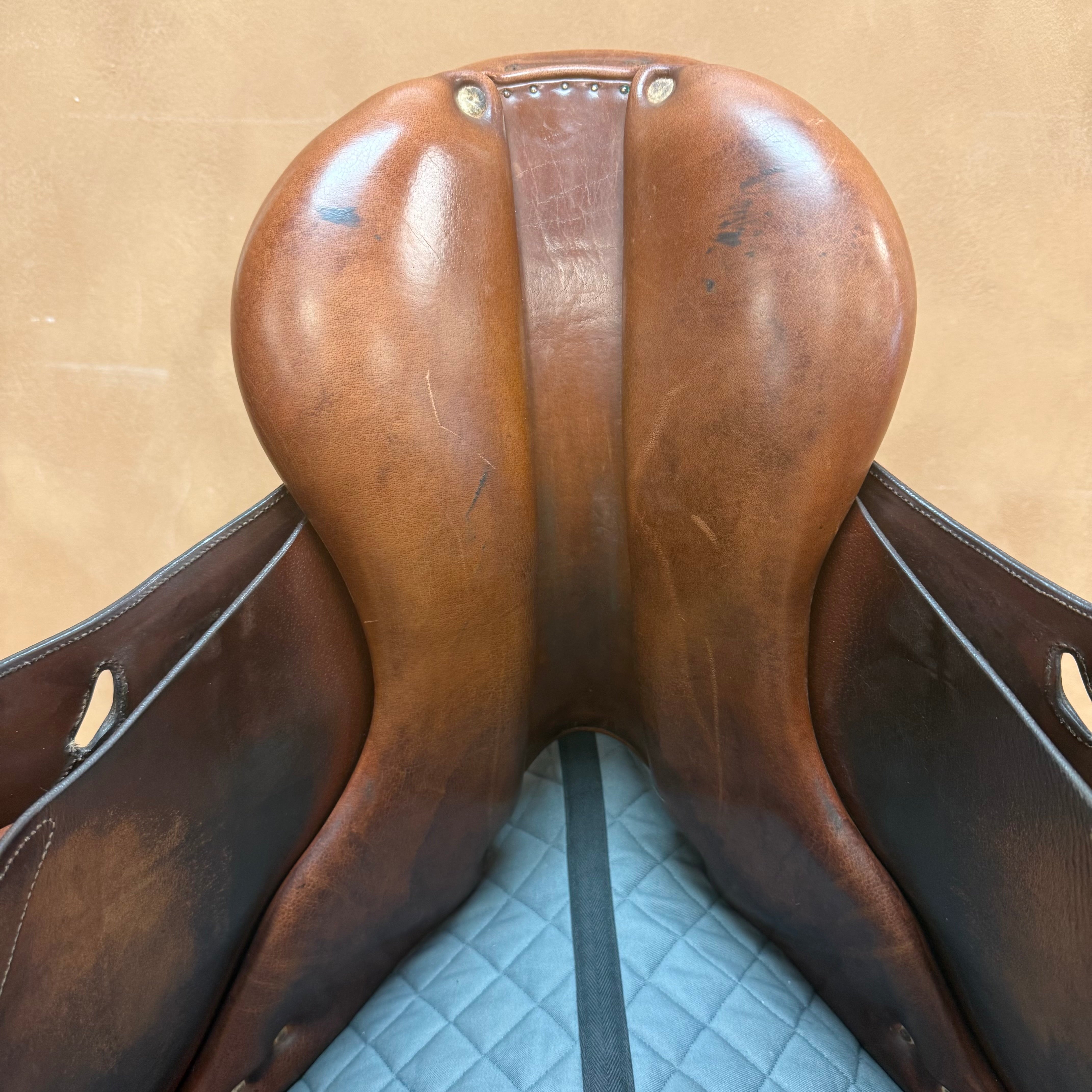 Used Antares Jump Saddle 16.5” Medium Tree