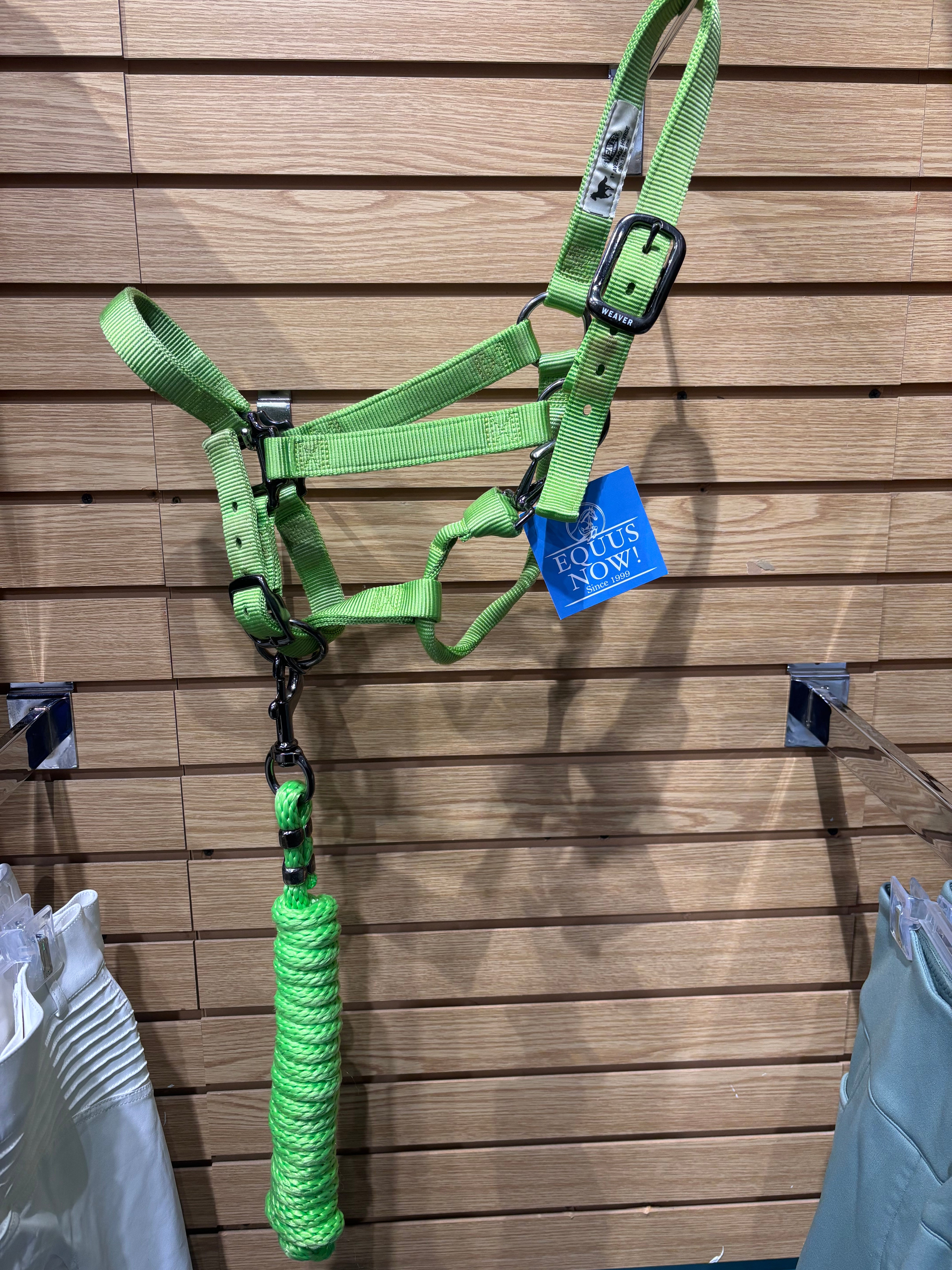 Used Green Weaver Nylon Halter & Lead