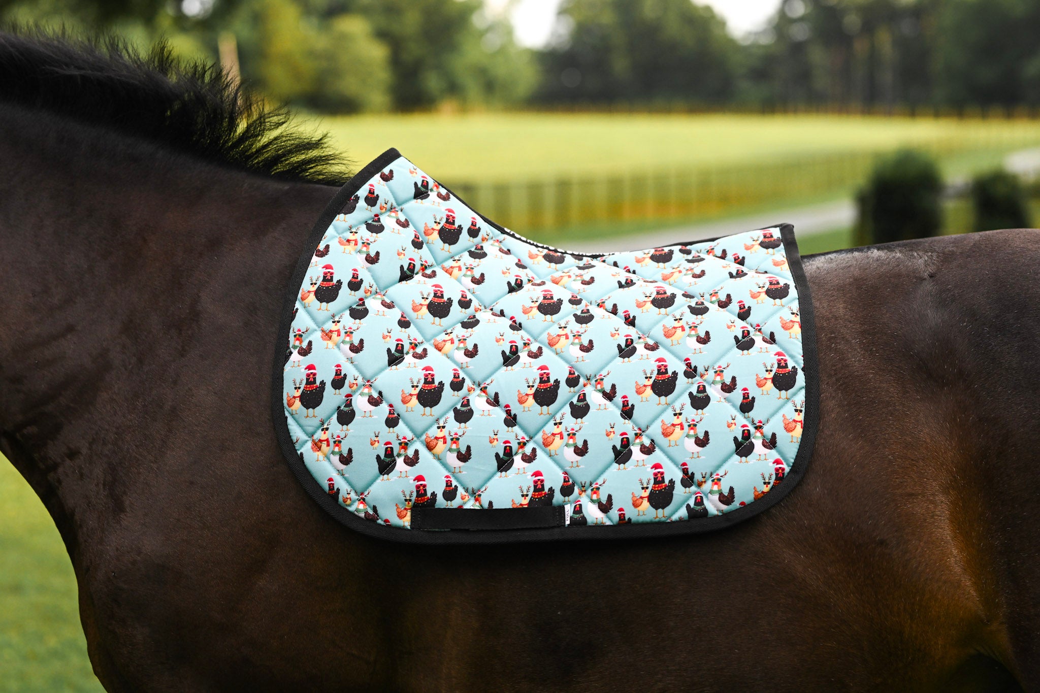 Dreamers & Schemers All Purpose Saddle Pad