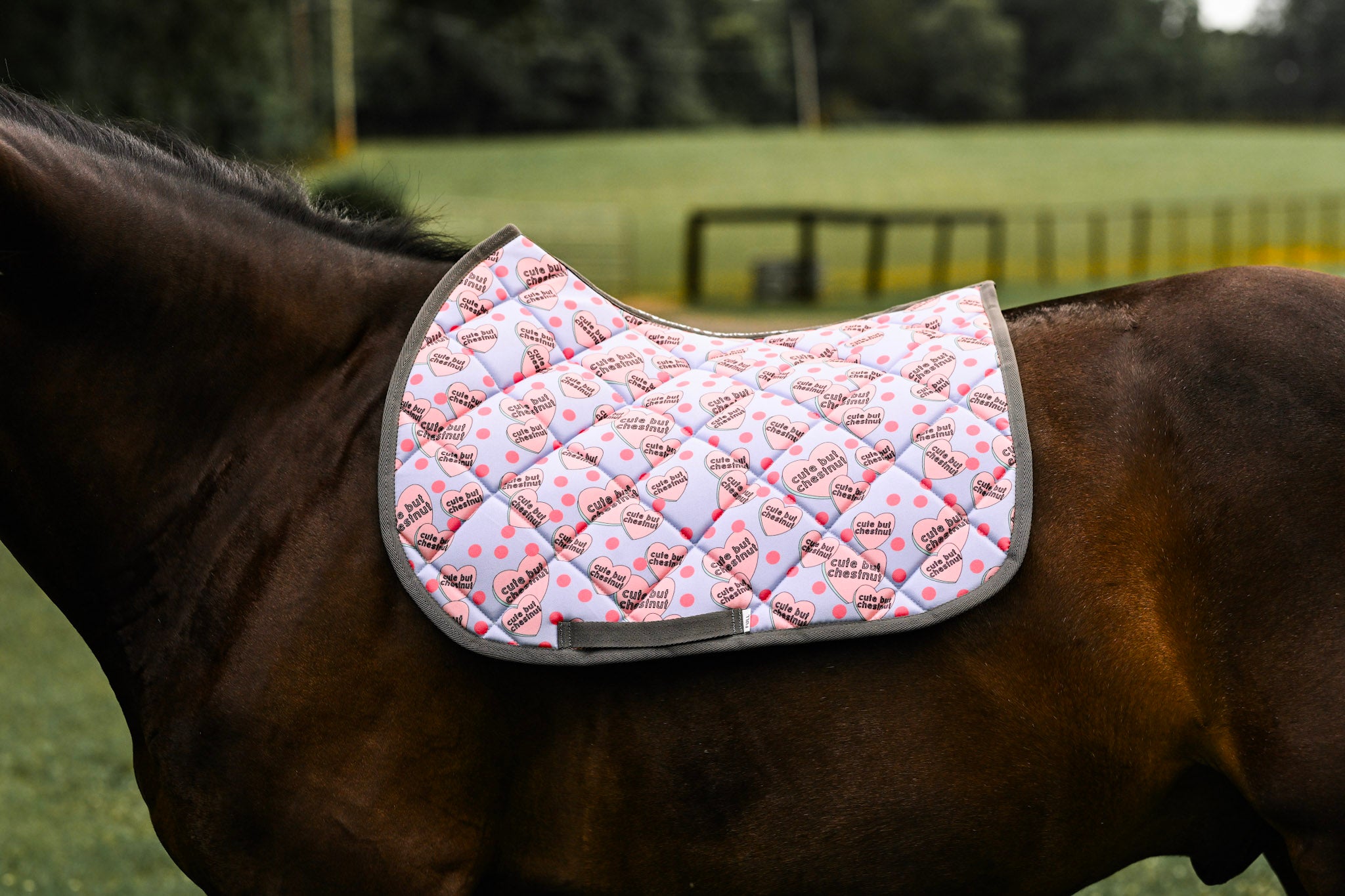 Dreamers & Schemers All Purpose Saddle Pad