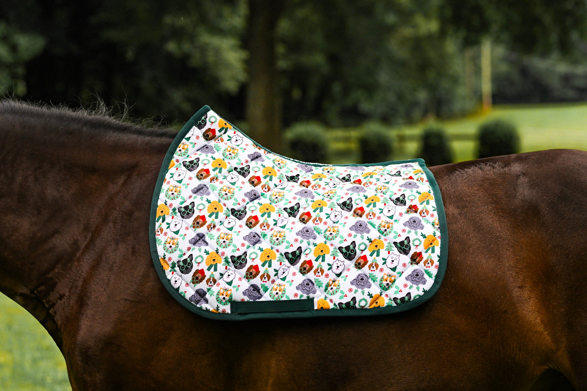 Dreamers & Schemers All Purpose Saddle Pad
