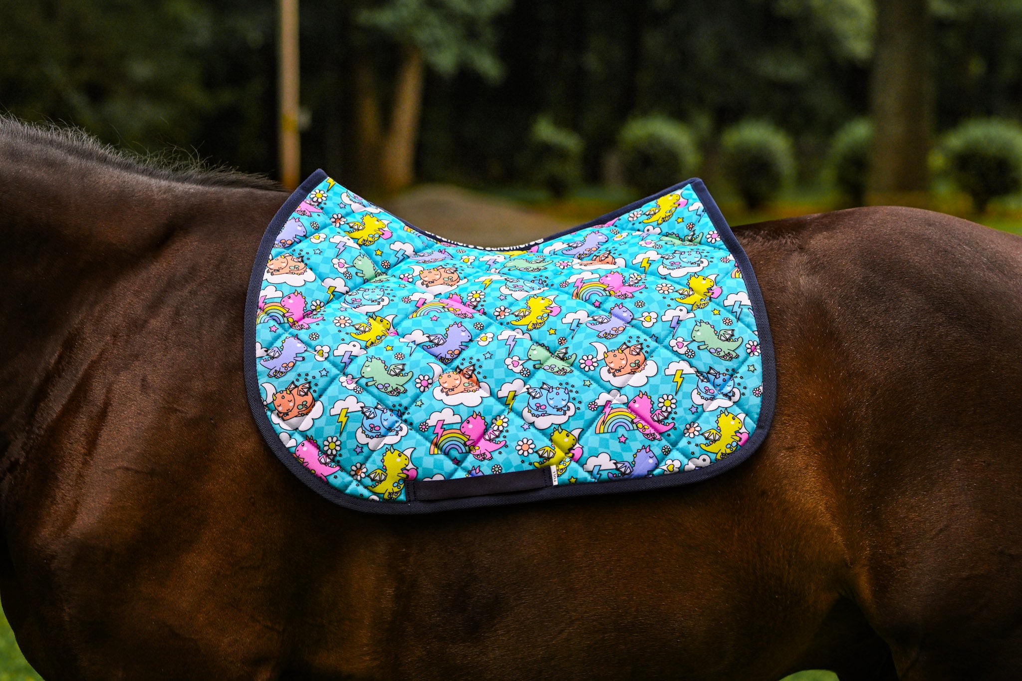 Dreamers & Schemers All Purpose Saddle Pad