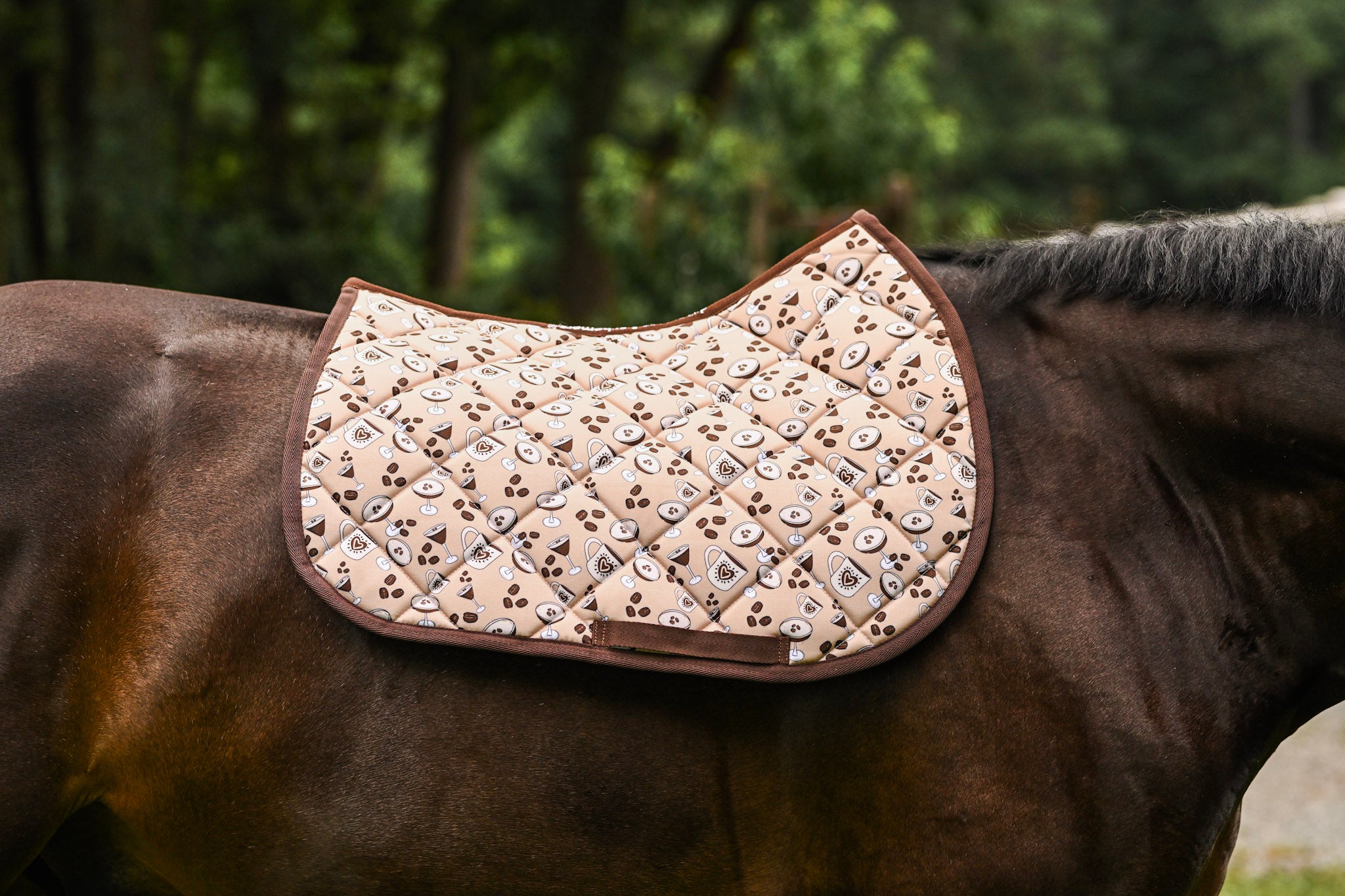 Dreamers & Schemers All Purpose Saddle Pad