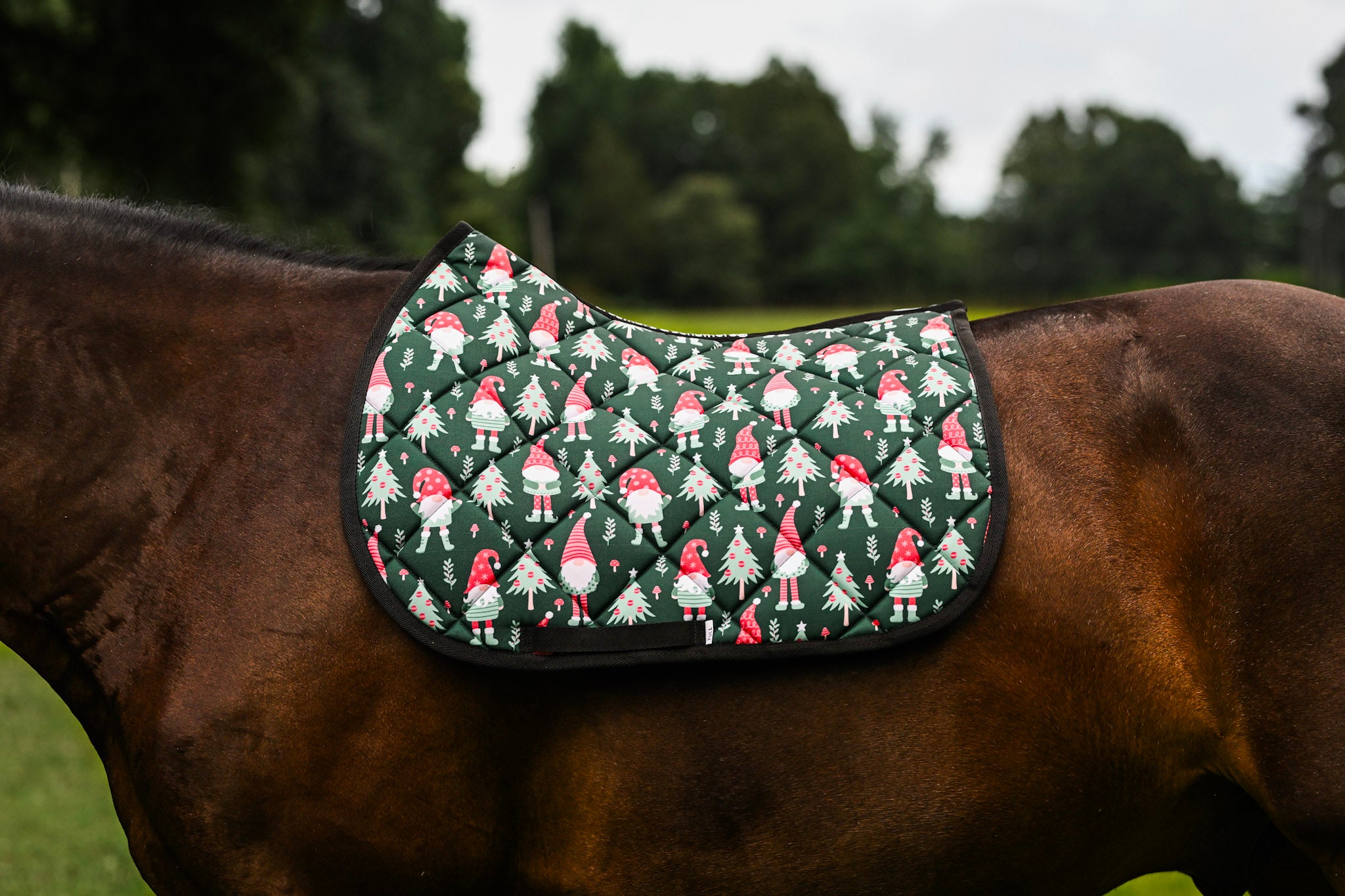 Dreamers & Schemers All Purpose Saddle Pad