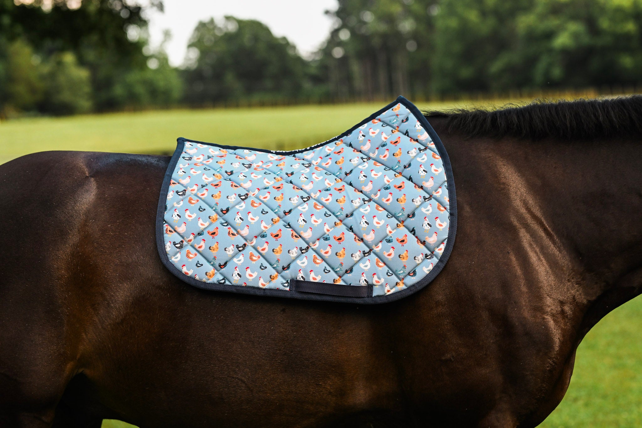 Dreamers & Schemers All Purpose Saddle Pad