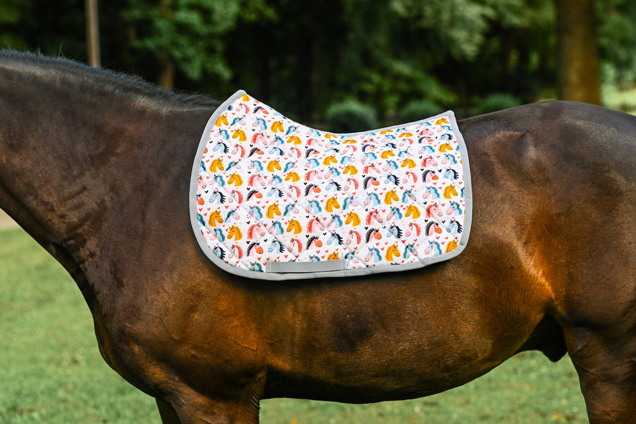 Dreamers & Schemers All Purpose Saddle Pad