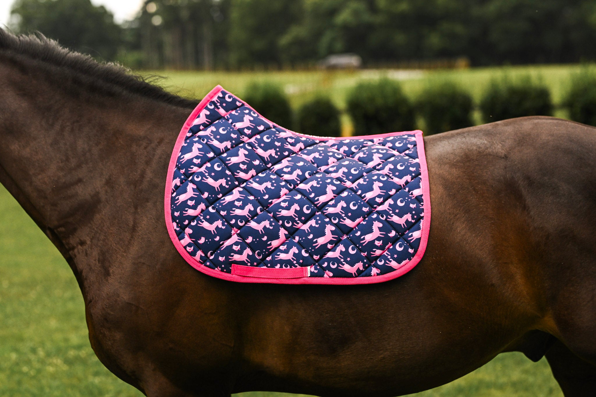 Dreamers & Schemers All Purpose Saddle Pad