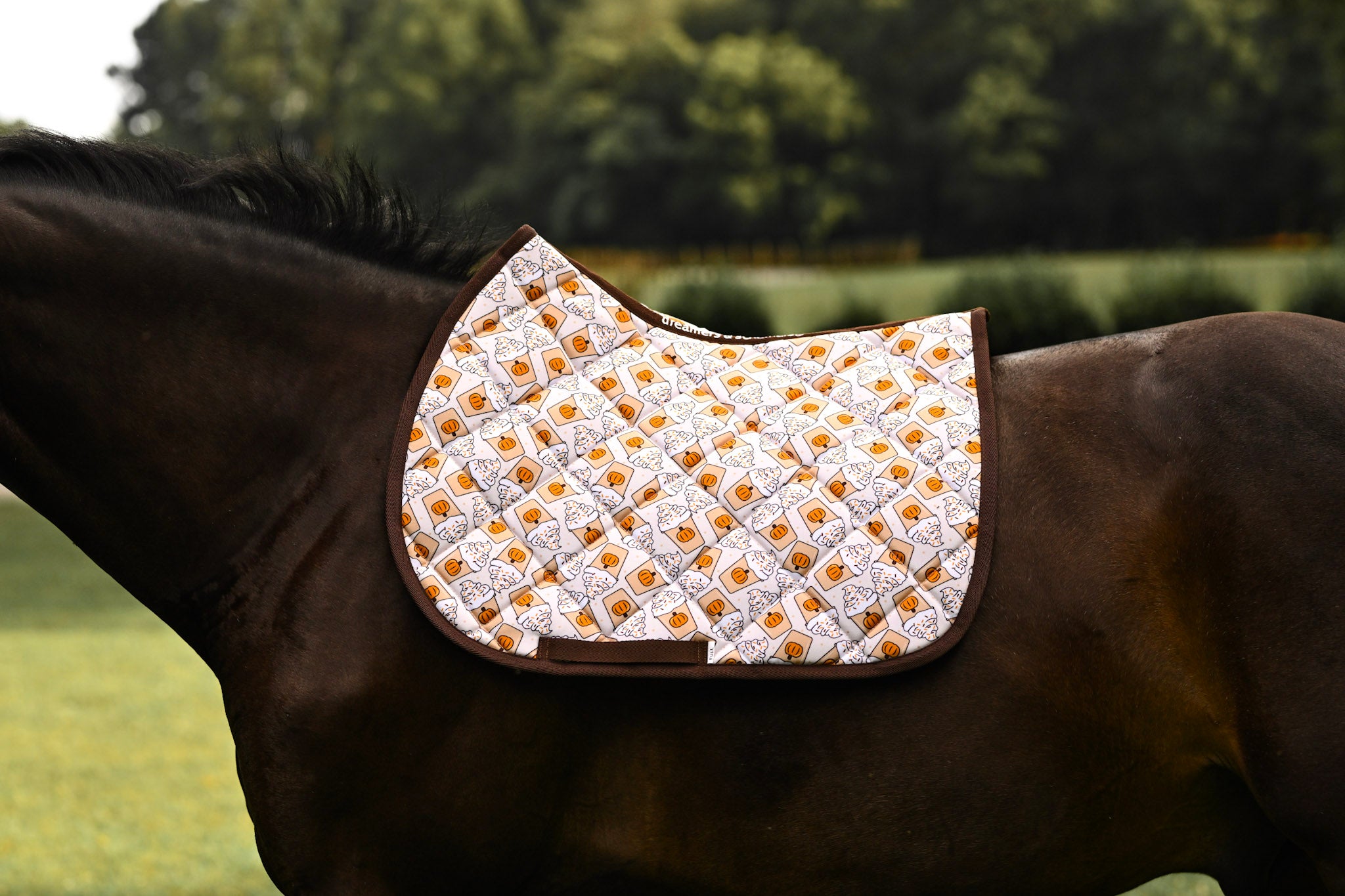 Dreamers & Schemers All Purpose Saddle Pad