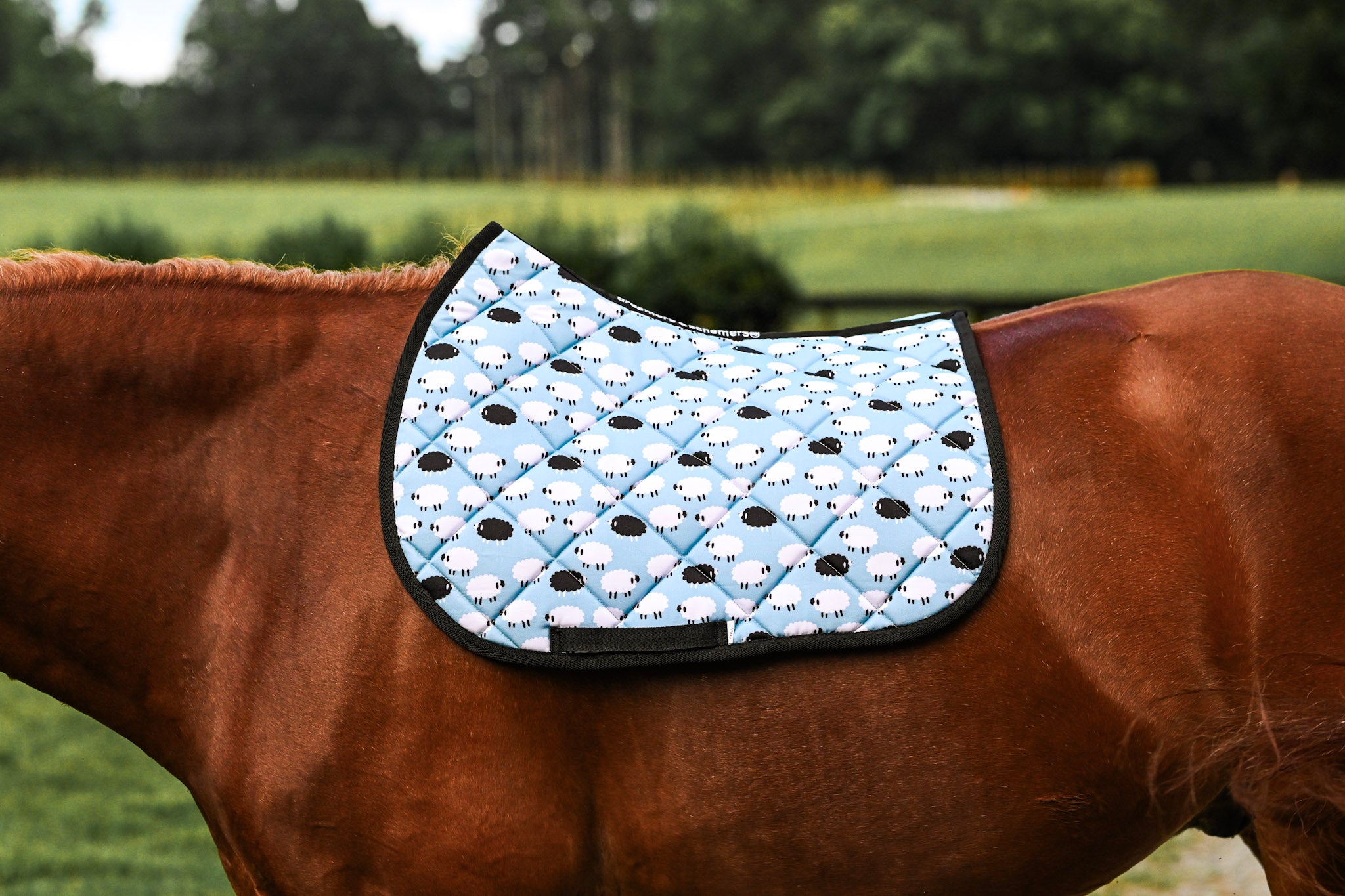Dreamers & Schemers All Purpose Saddle Pad