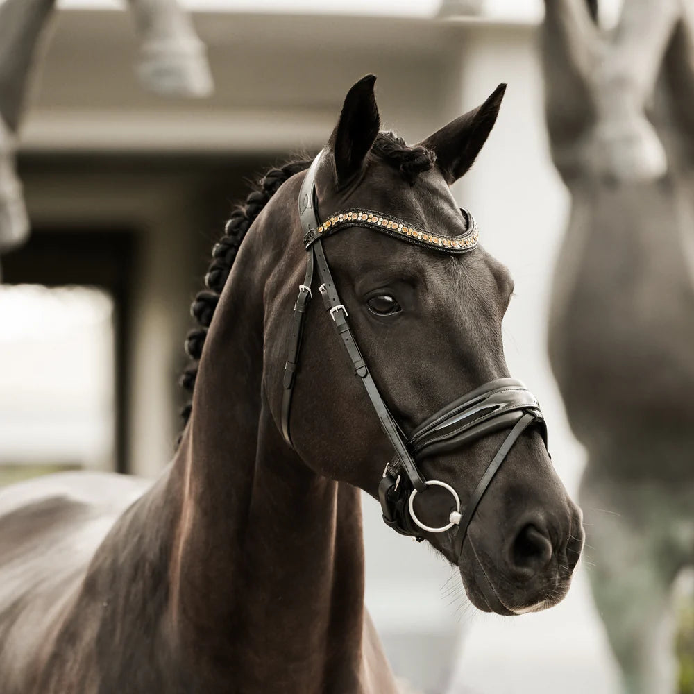 Lumiere Ariana Bridle Hanoverian