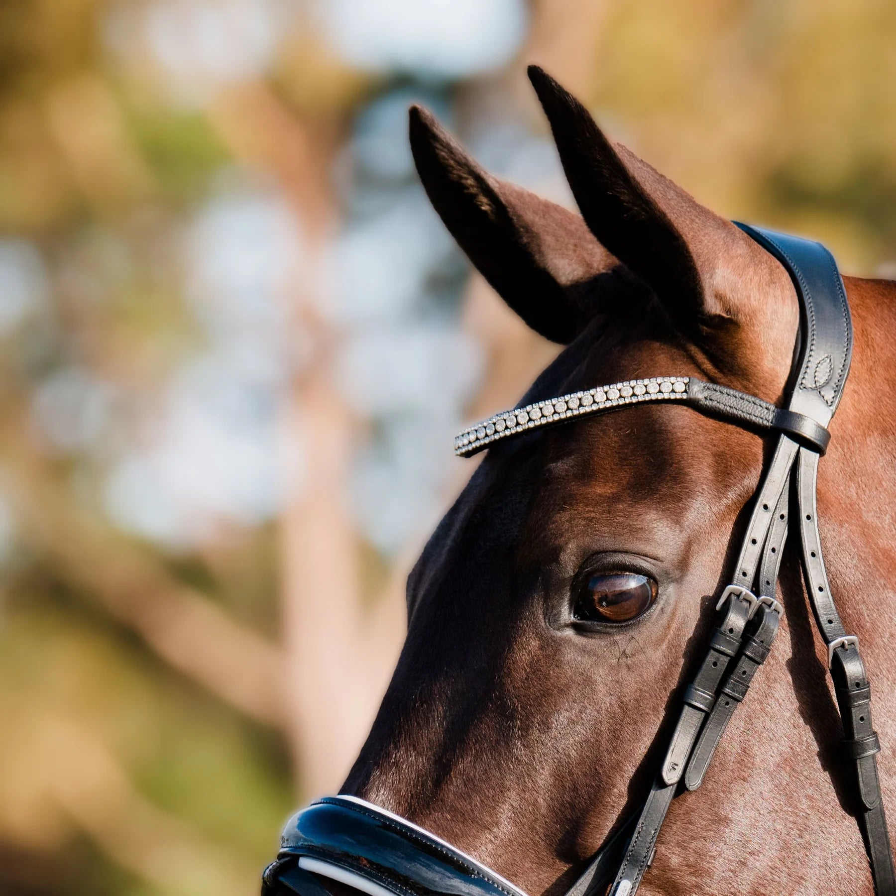Lumiere Adeline Leather Bridle