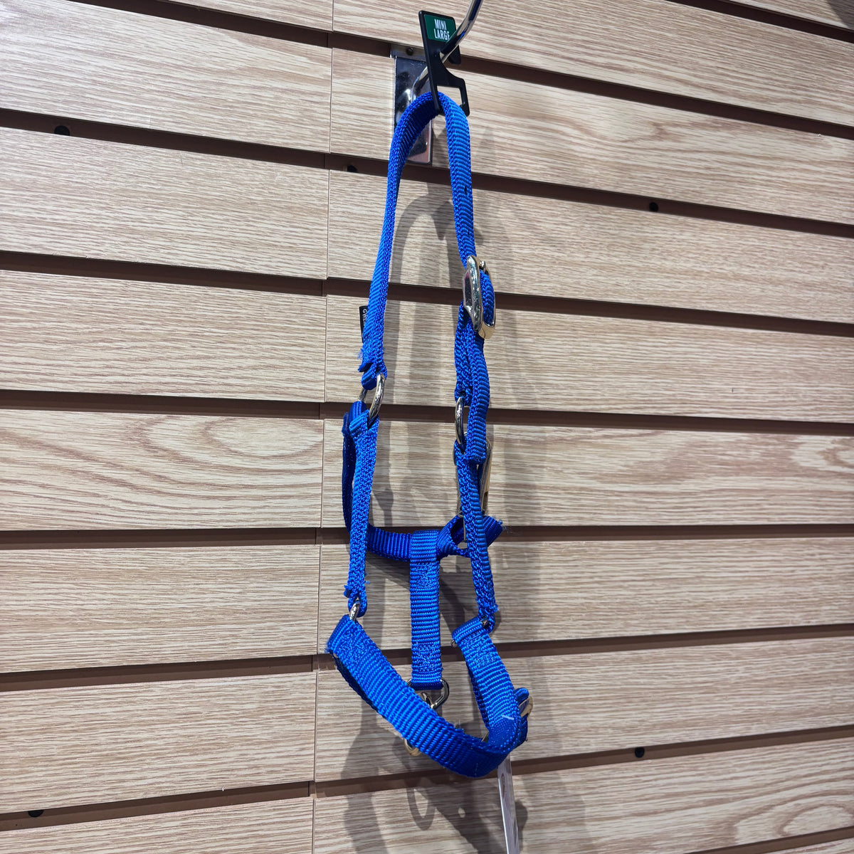 Used Miniature Large Blue Nylon Halter