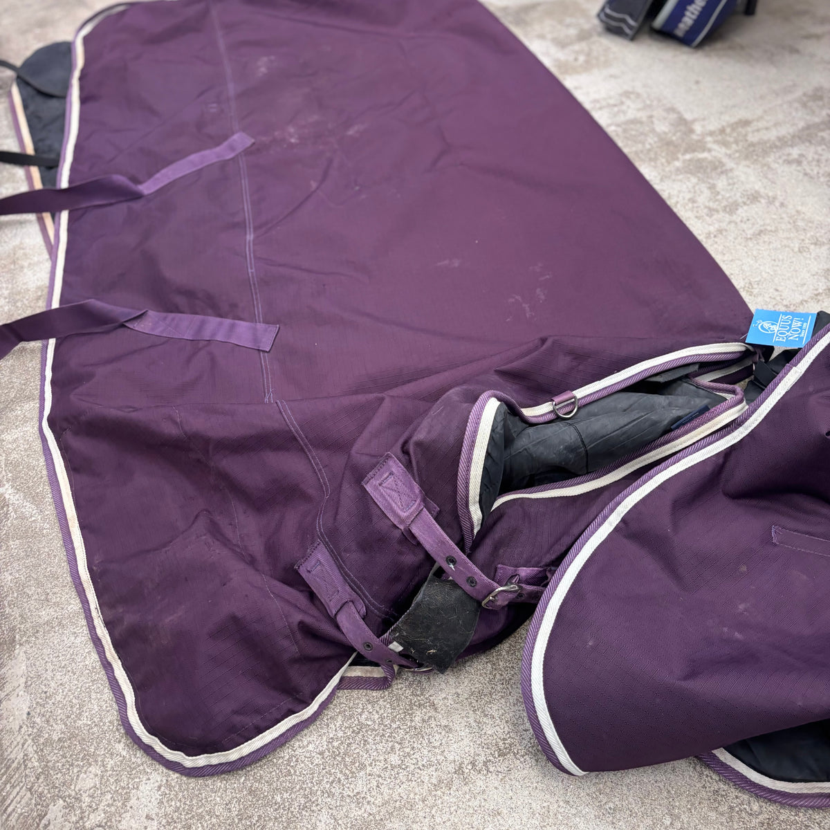 Used 84" Purple Shires Medium Weight (200g) Turnout Blanket- Come w/ Neck Cover