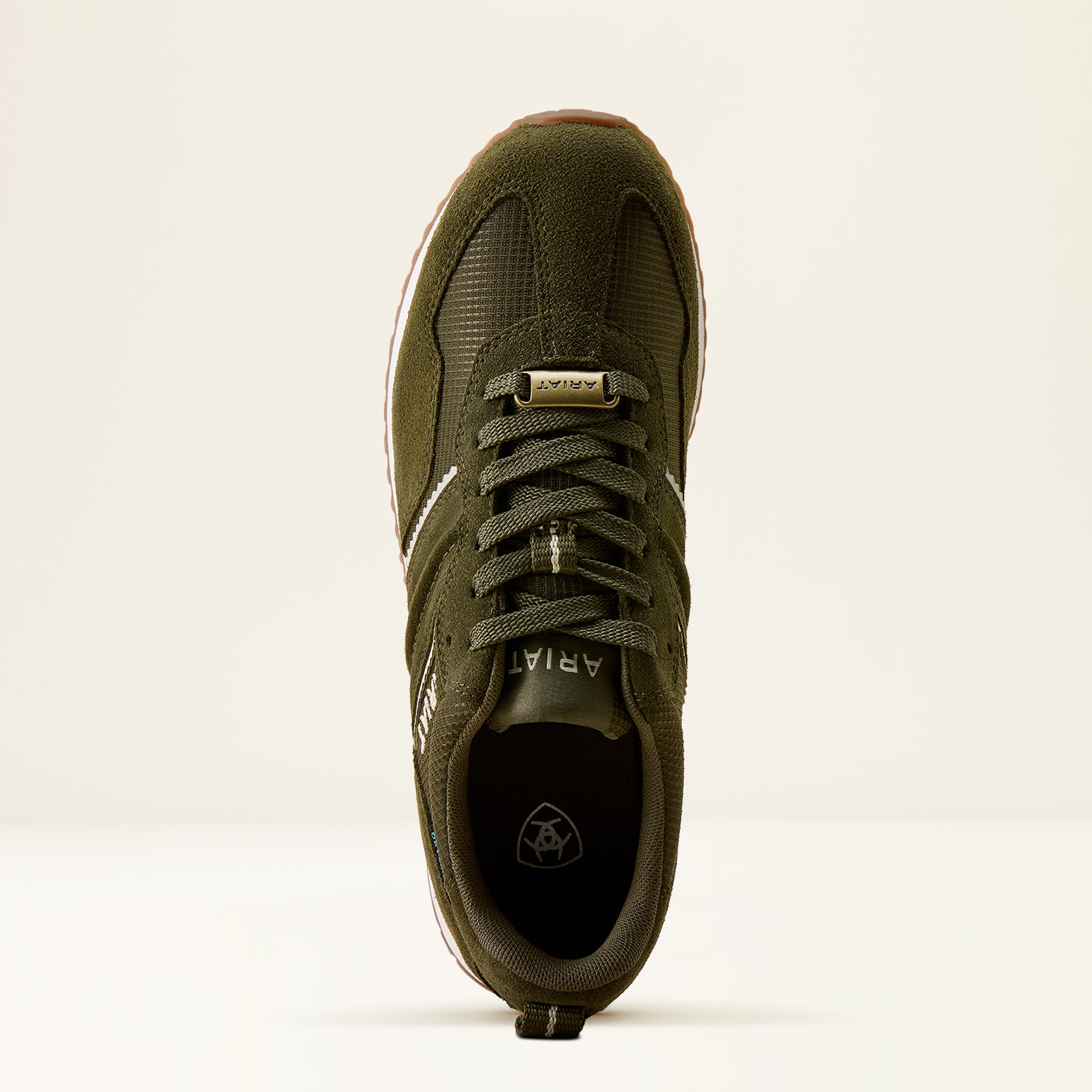 #color_Olive Night