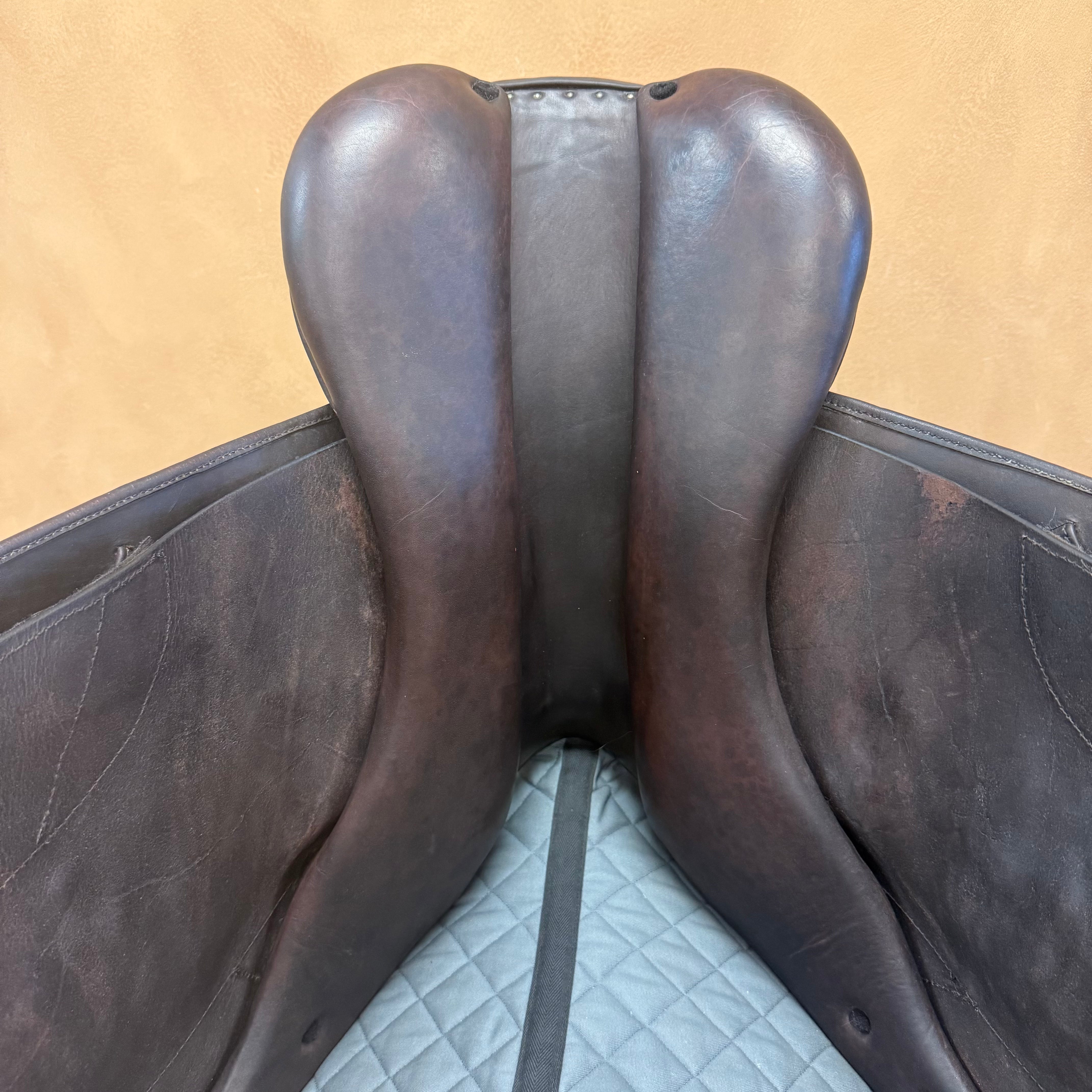 Used M Toulouse Premia Jump Saddle 17.5" Medium Tree