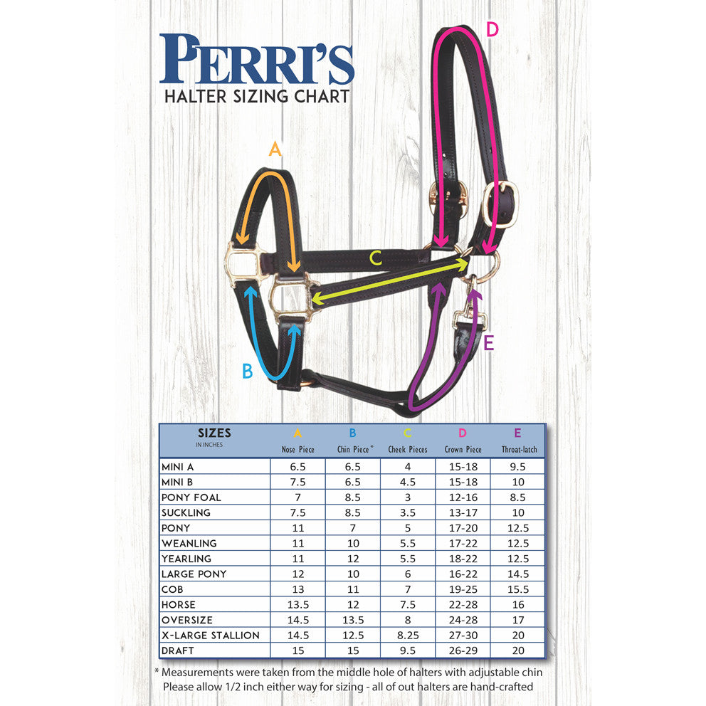 Perri's 1 inch Premium Track Show Halter - supporting