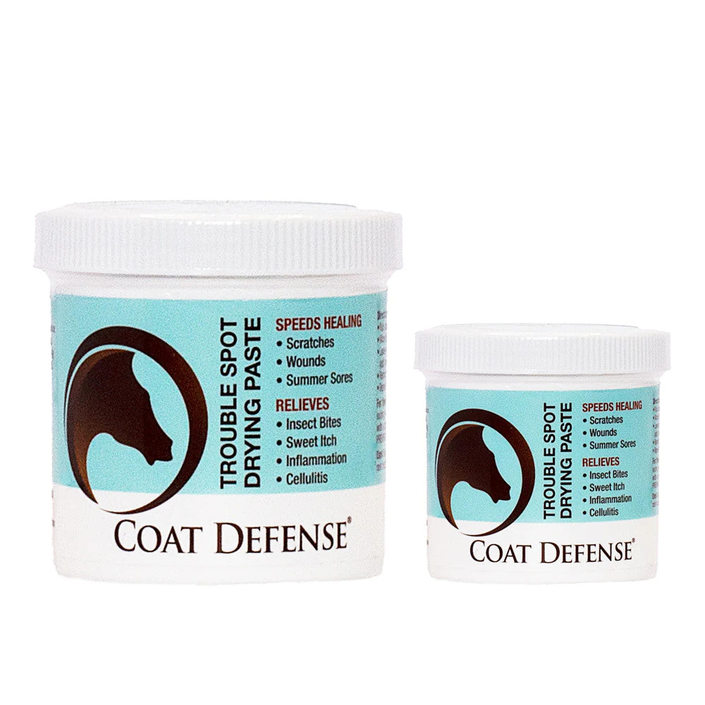 Coat Defense Trouble Spot Drying Paste - main