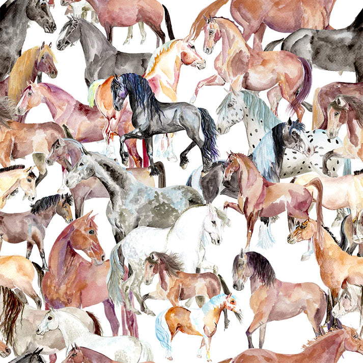 AP Hassinger Snazzy Socks - Child