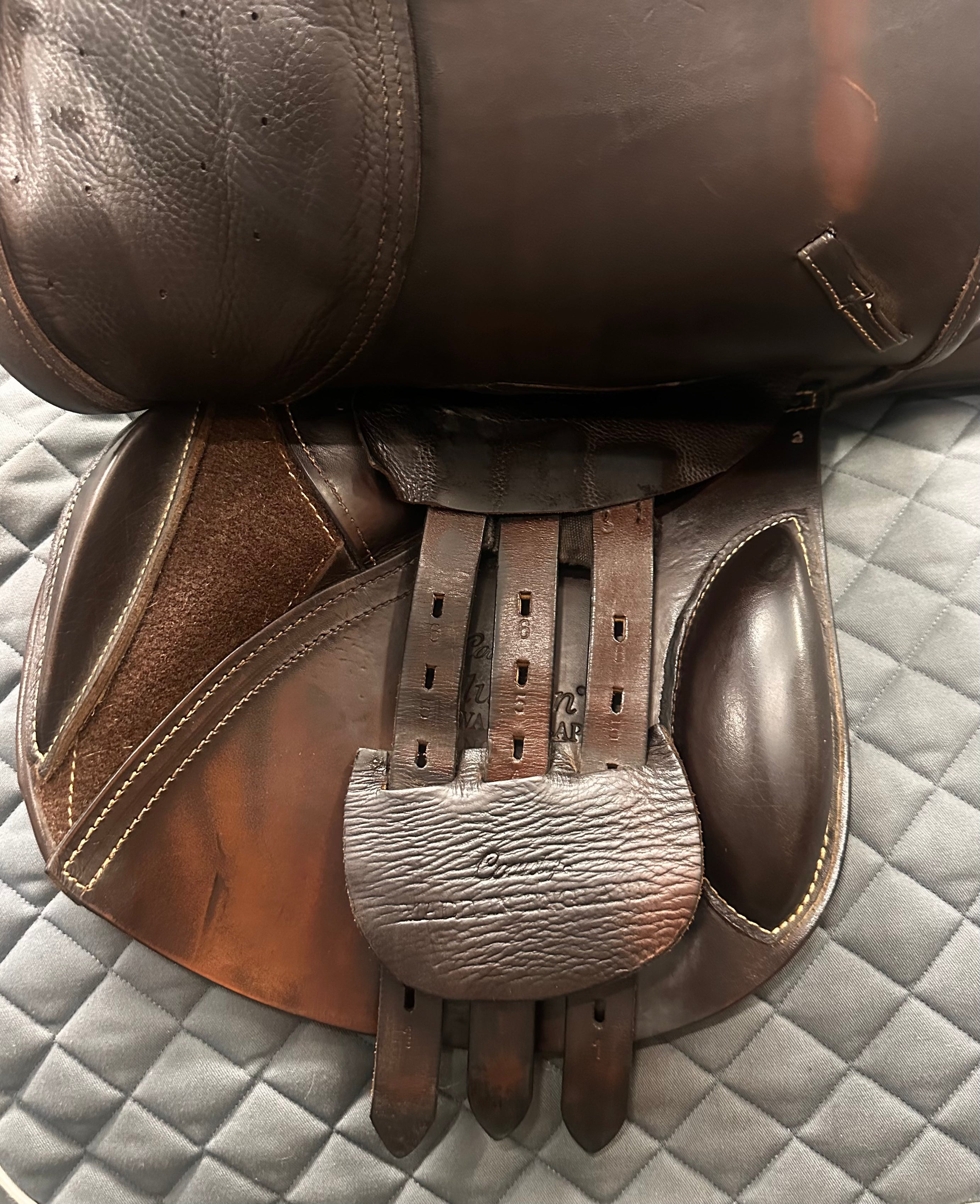 Used County Jump Saddle- 16" Medium Tree/ Forward Flap