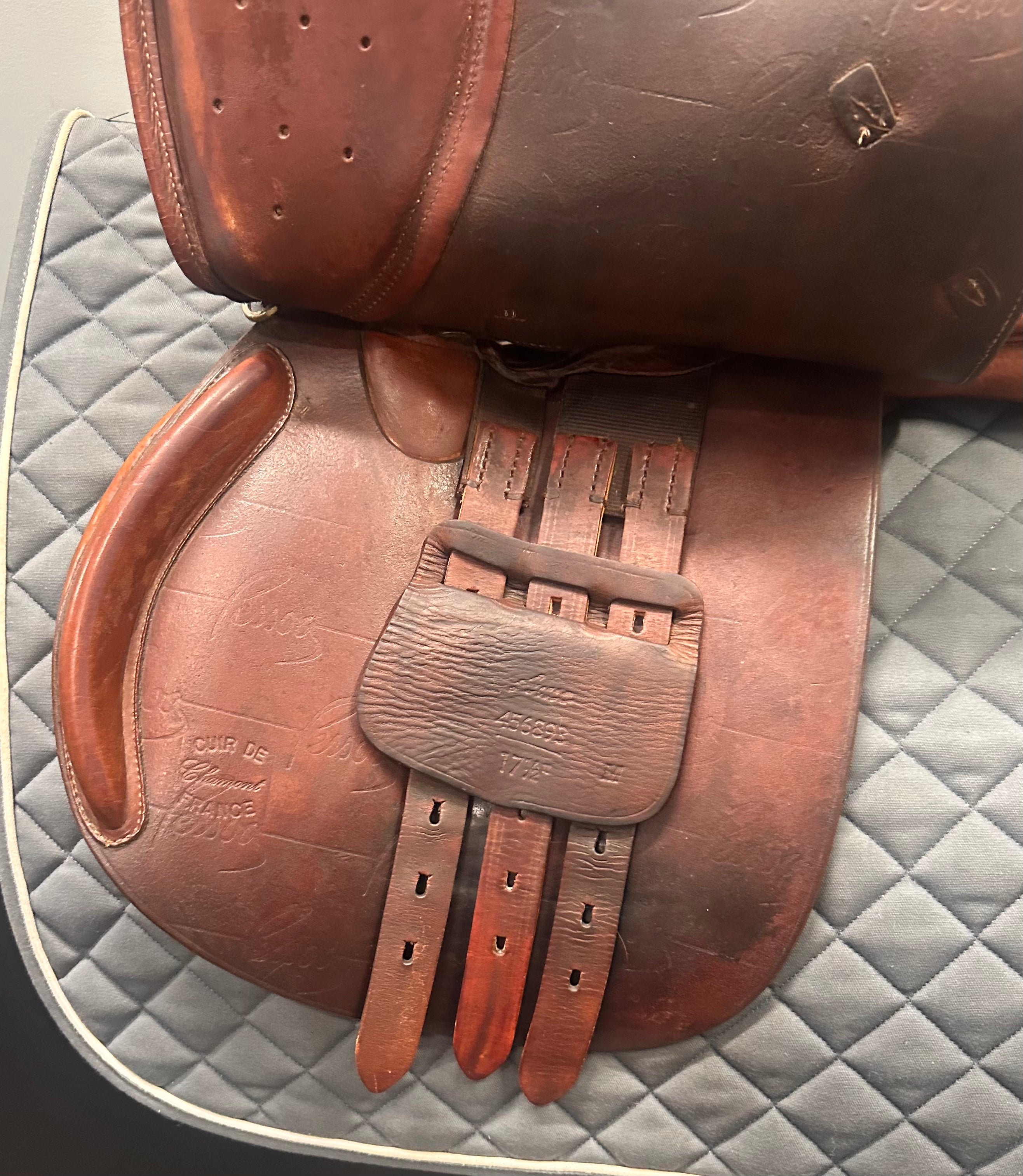 Used Pessoa 17.5" Medium Tree