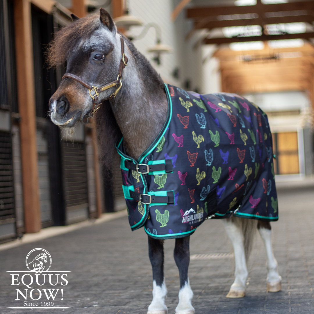 Shires Mini Highlander Turnout Blanket