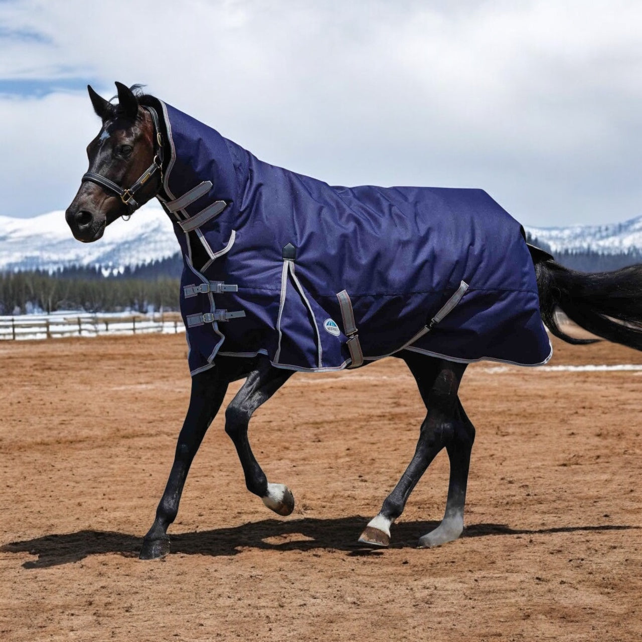 SALE Weatherbeeta Comfitec Essential Combo Turnout Blanket - Heavy 360g