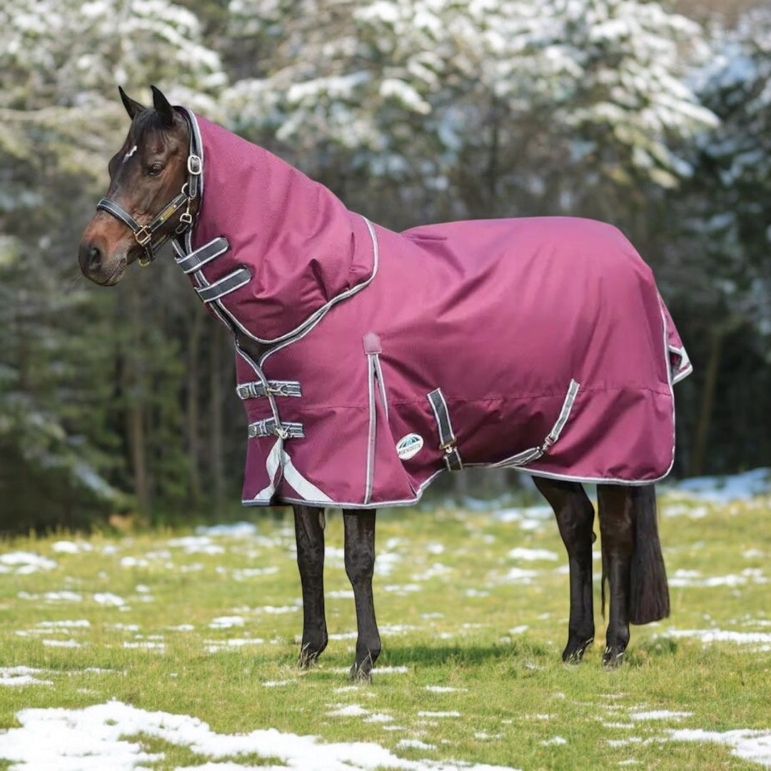 SALE Weatherbeeta ComFiTec Plus Dynamic II Detach-A-Neck - Medium 220g