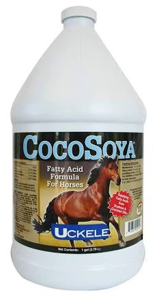 CoCoSoya - 1 Gallon