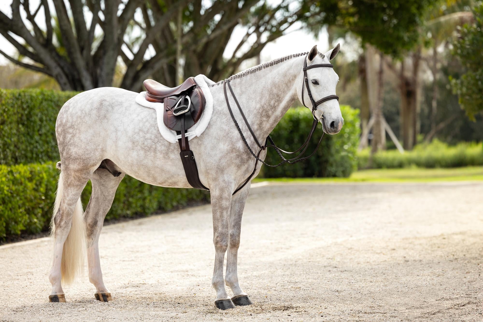 LeMieux Stitched Hunter Bridle with Laced Reins